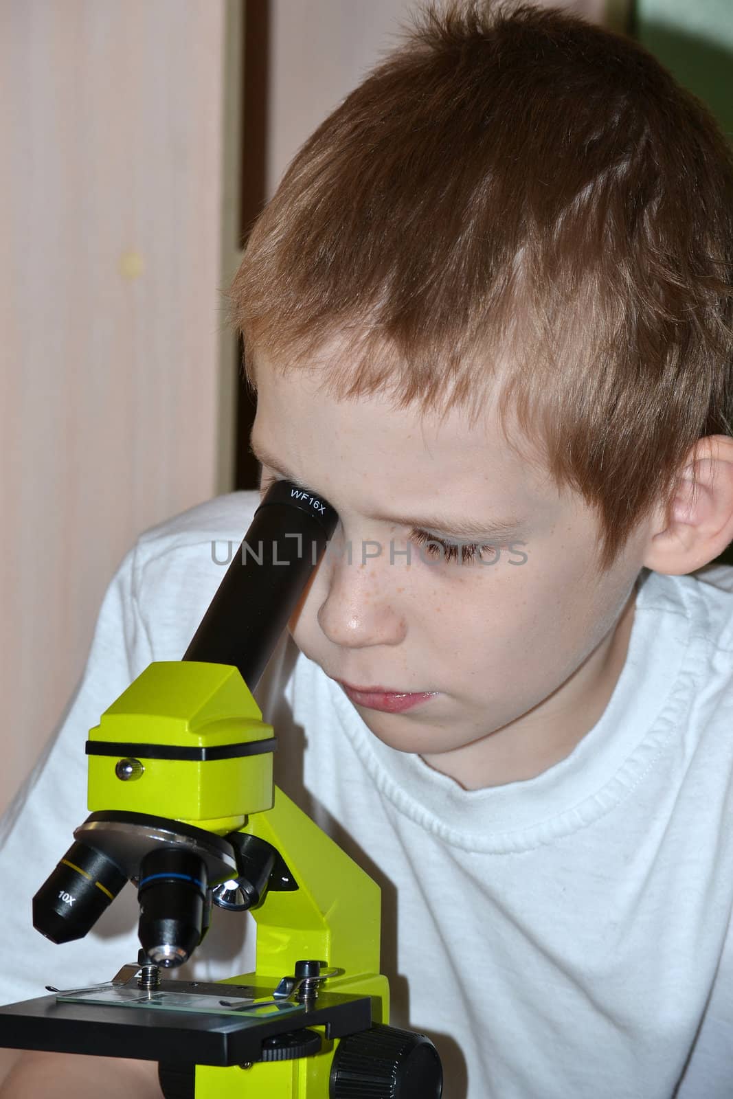 The teenager conducts researches, looking in a microscope