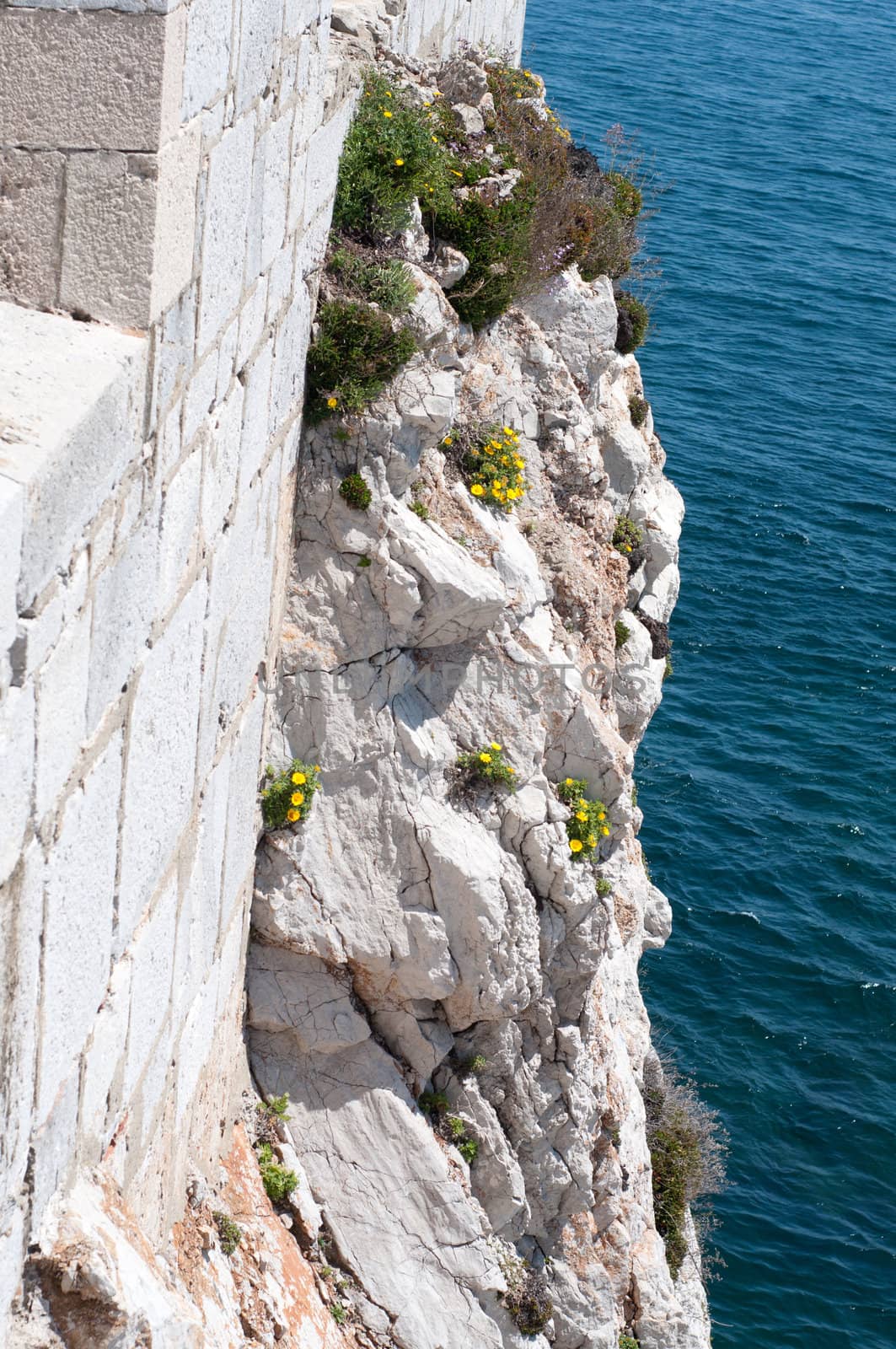 The cliff with green grass and blue sea