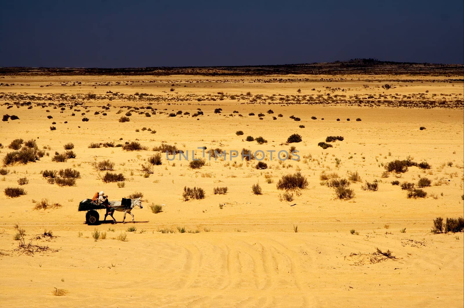 two people in the desert of tunisia in a truck