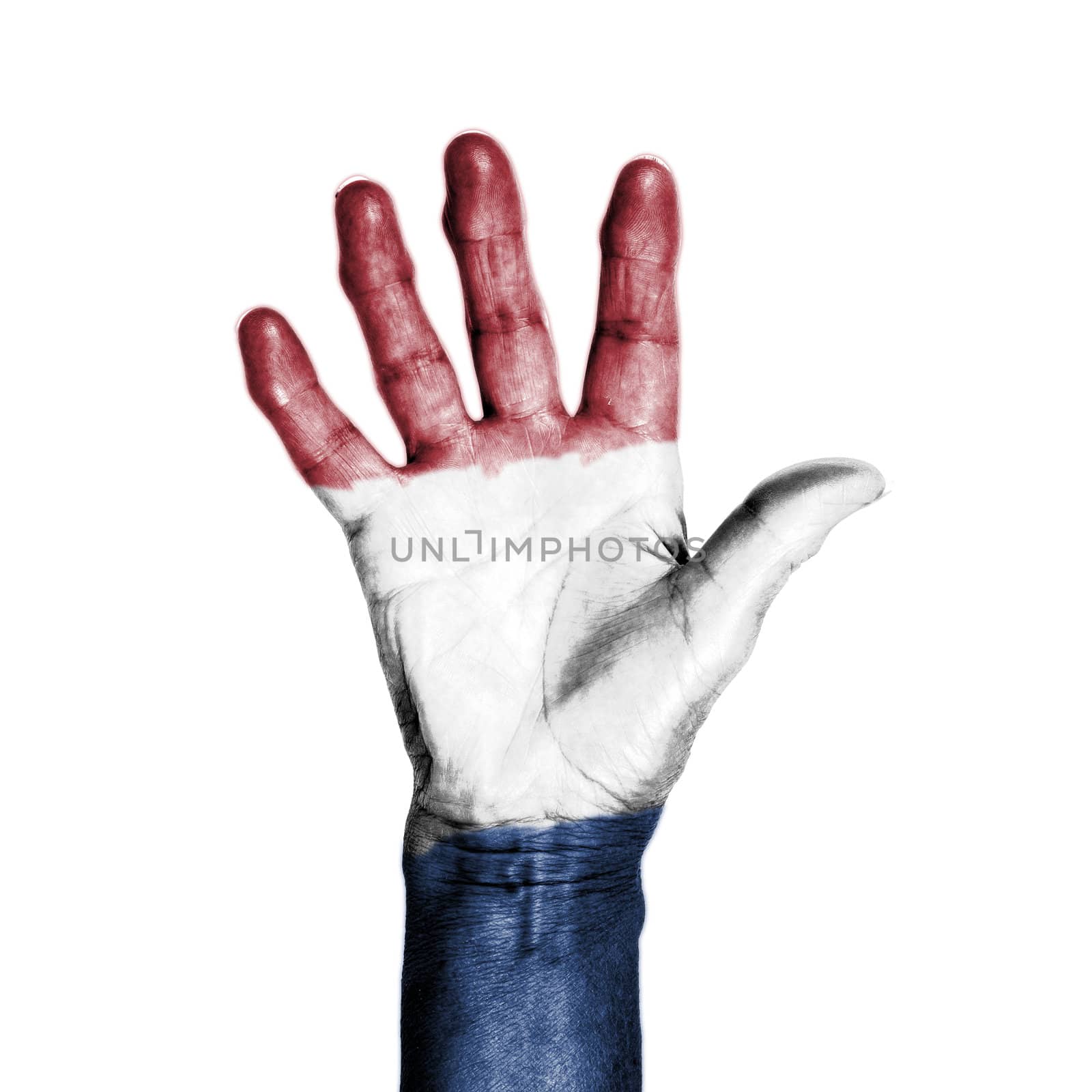Hand of an old woman, wrapped with a pattern of the flag of Holland, isolated on white