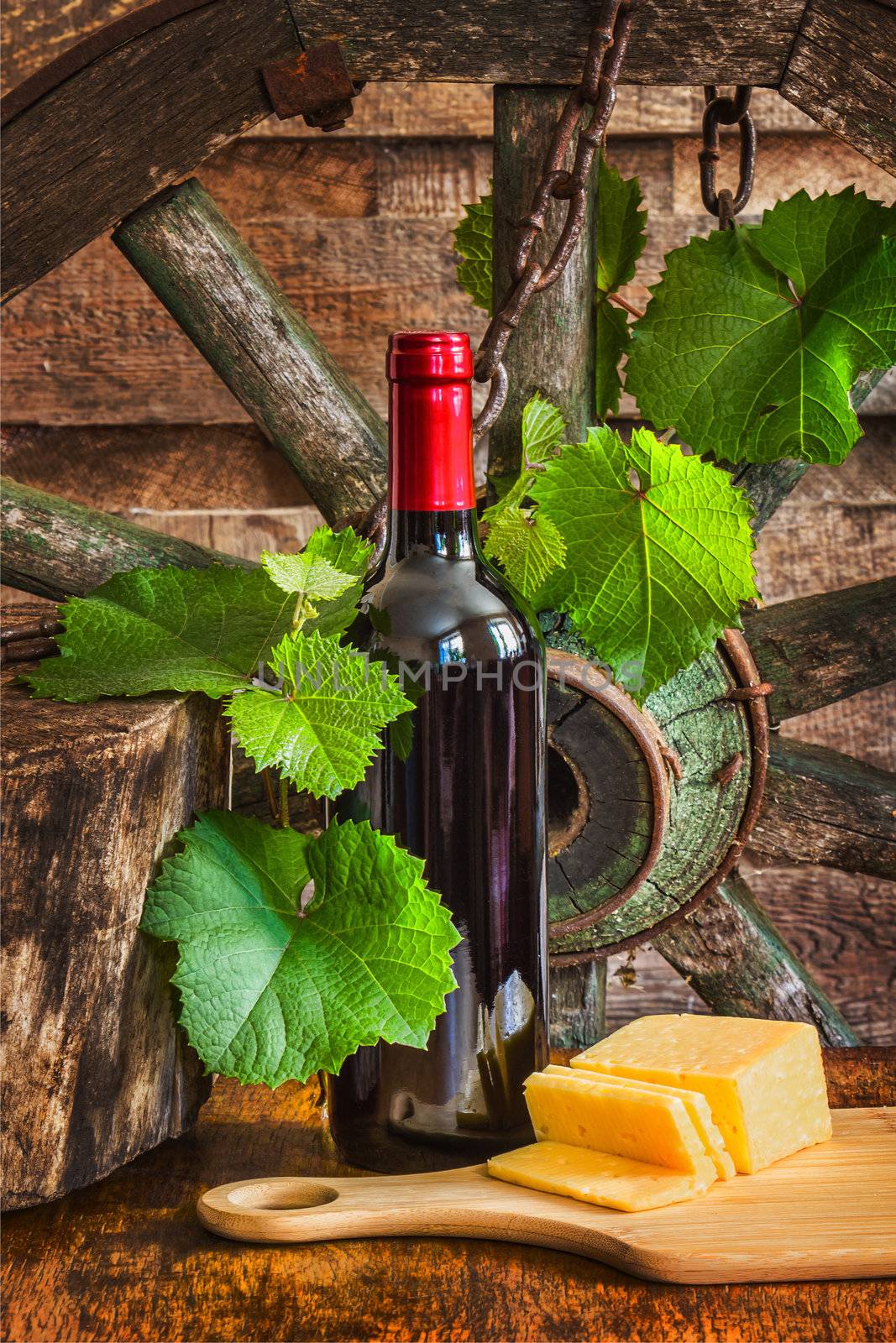 A bottle of wine on the background of the vine by oleg_zhukov