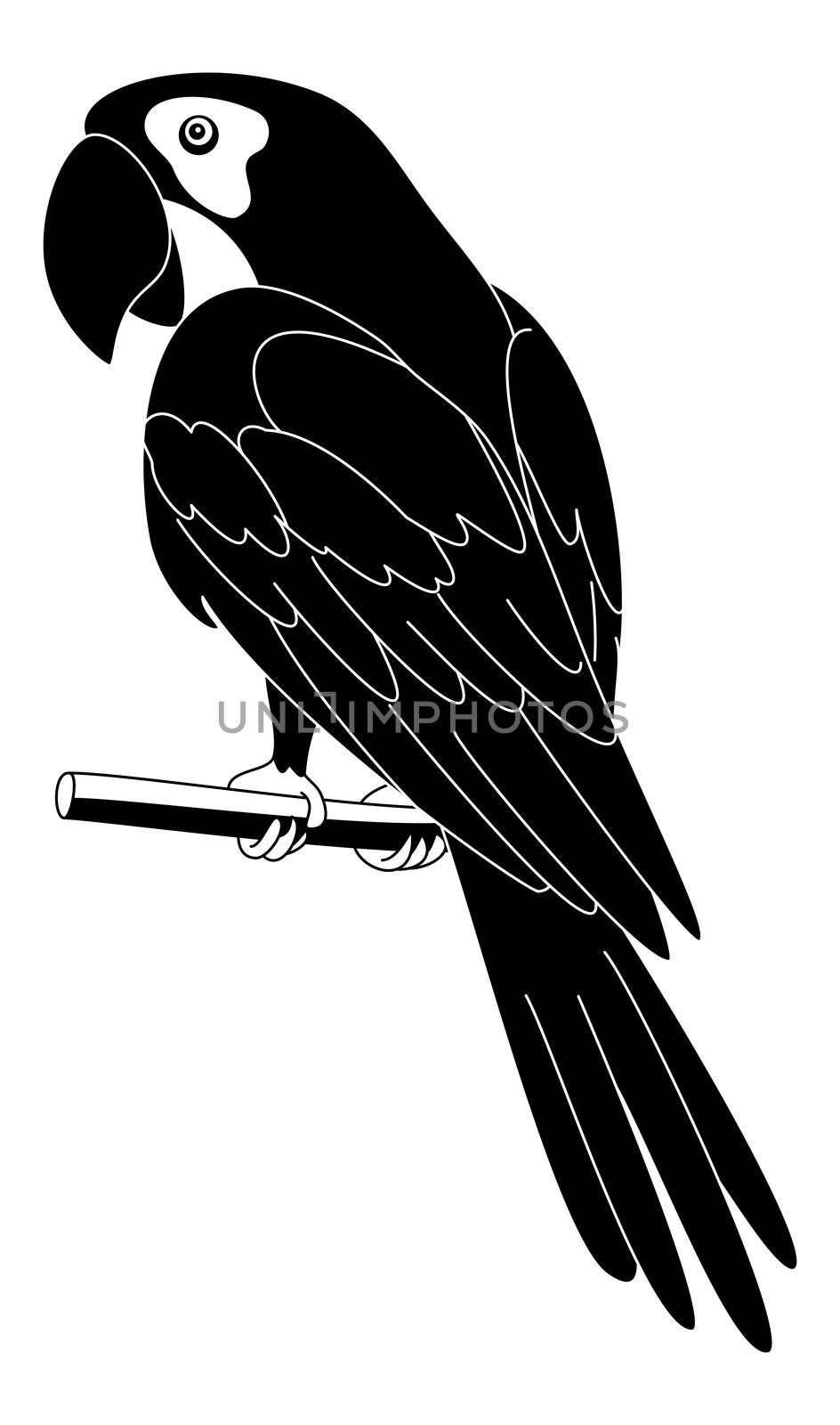 Clever speaking parrot sits on a wooden pole, black silhouette on white background.