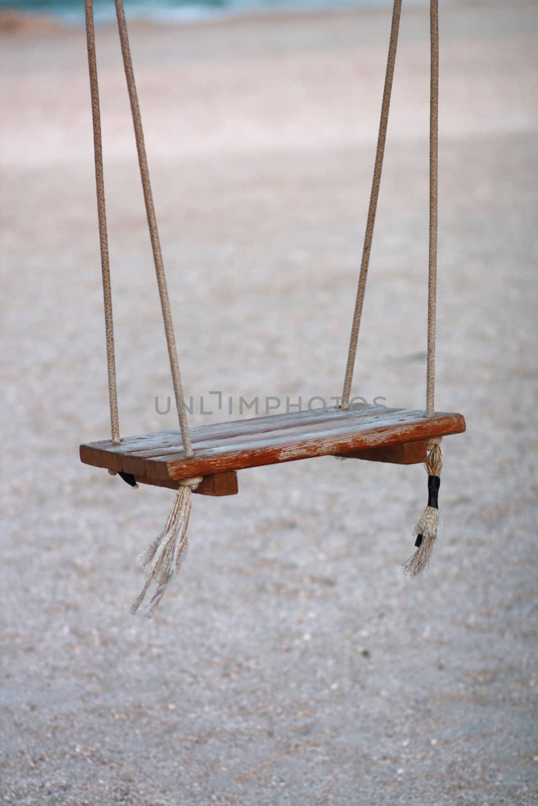 Wooden rope swing on a evening sandy beach