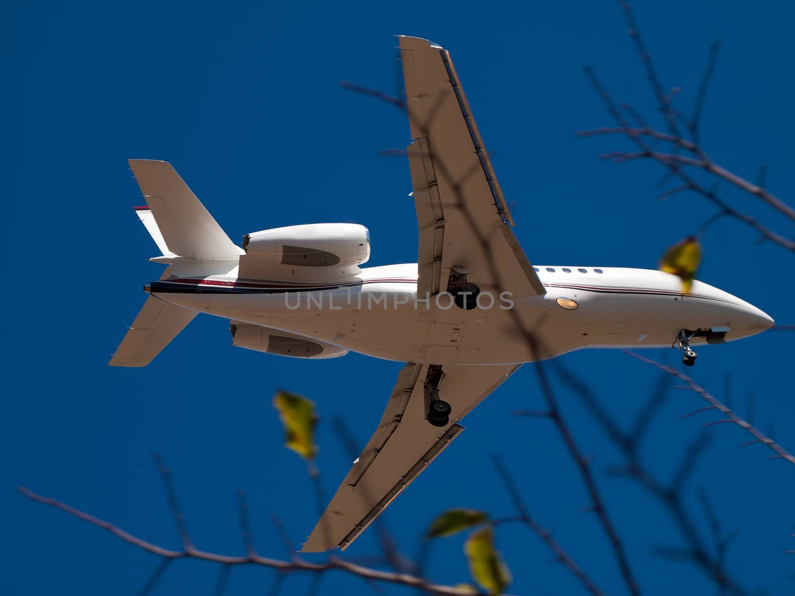 detail of airplane landing... on sunny day