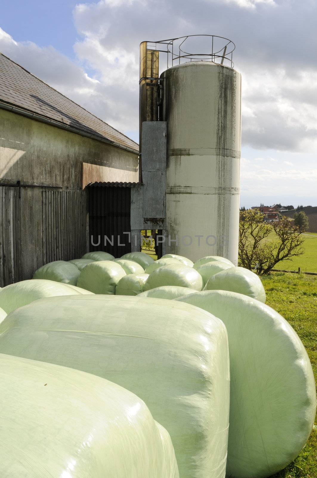 Austrian Farm with Silo and hayballs