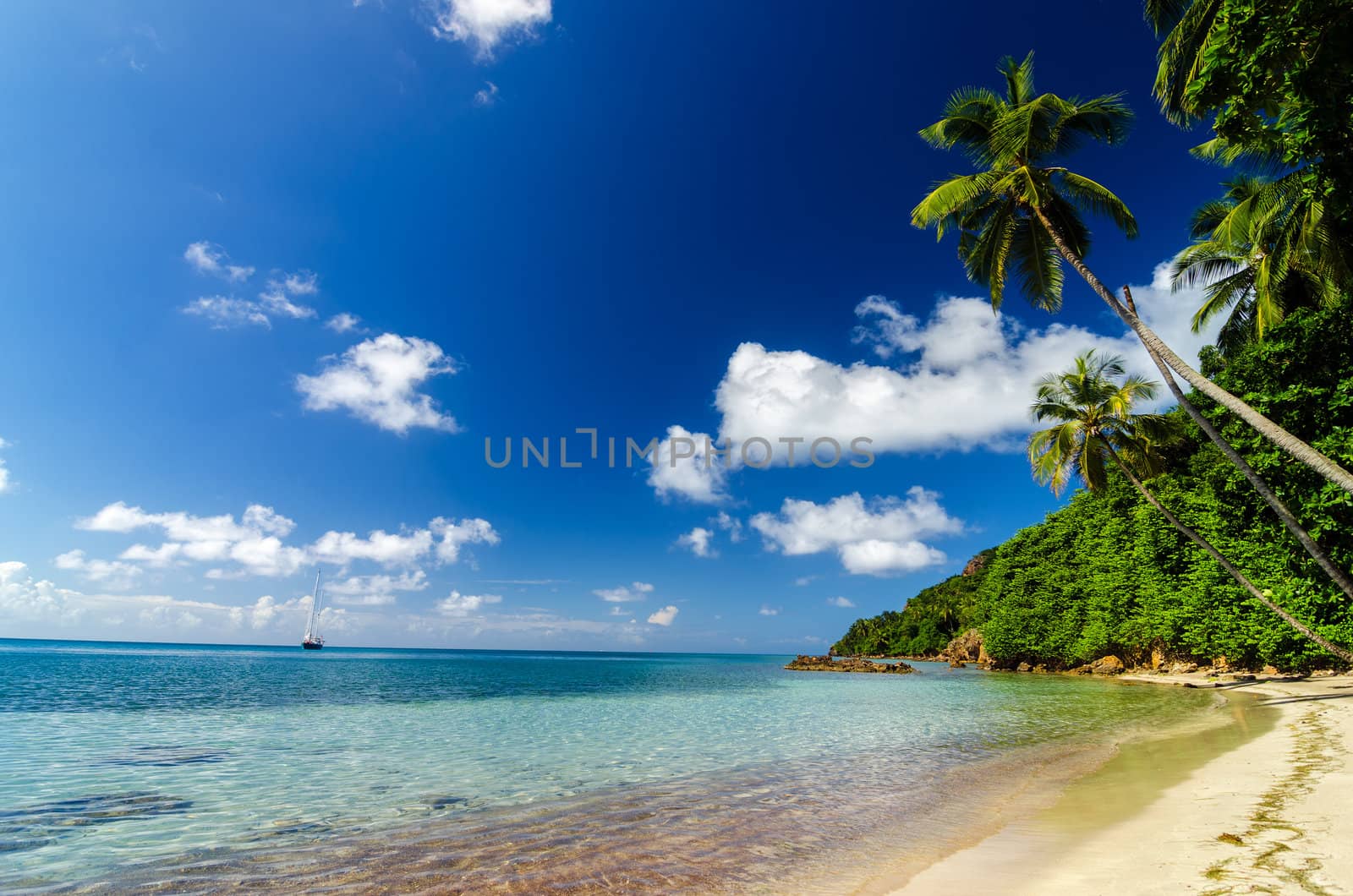 Beach and palm trees on Caribbean Sea and a yacht