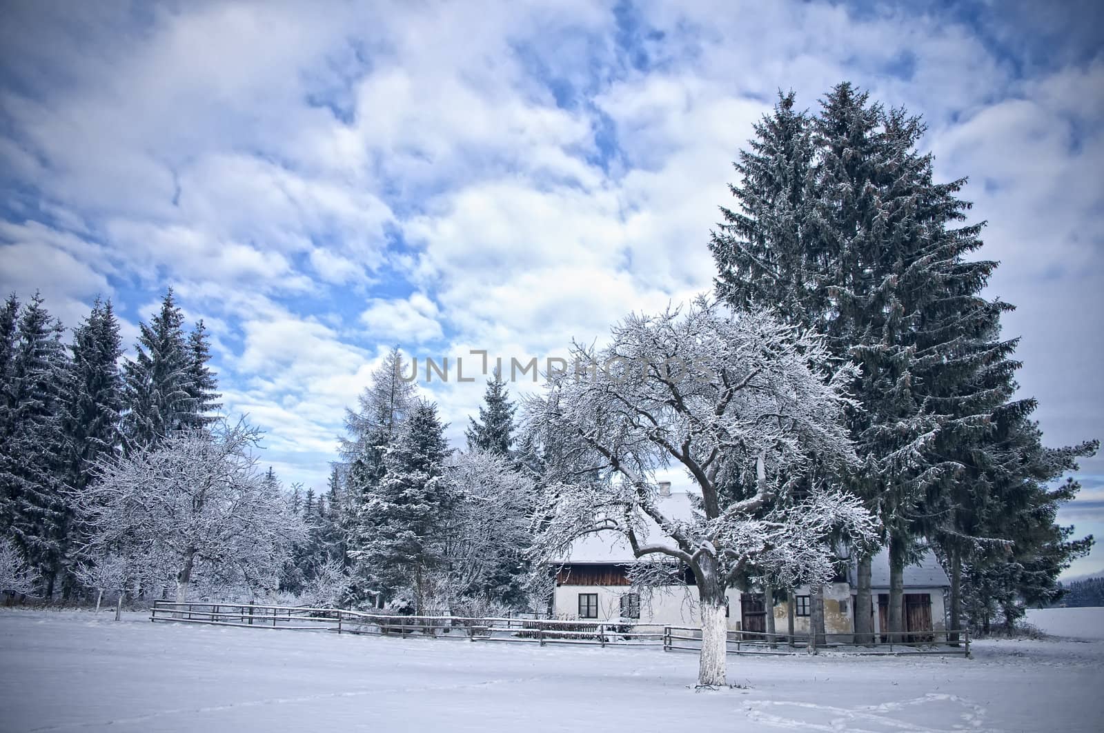 Austrian Farmhouse in Winter
