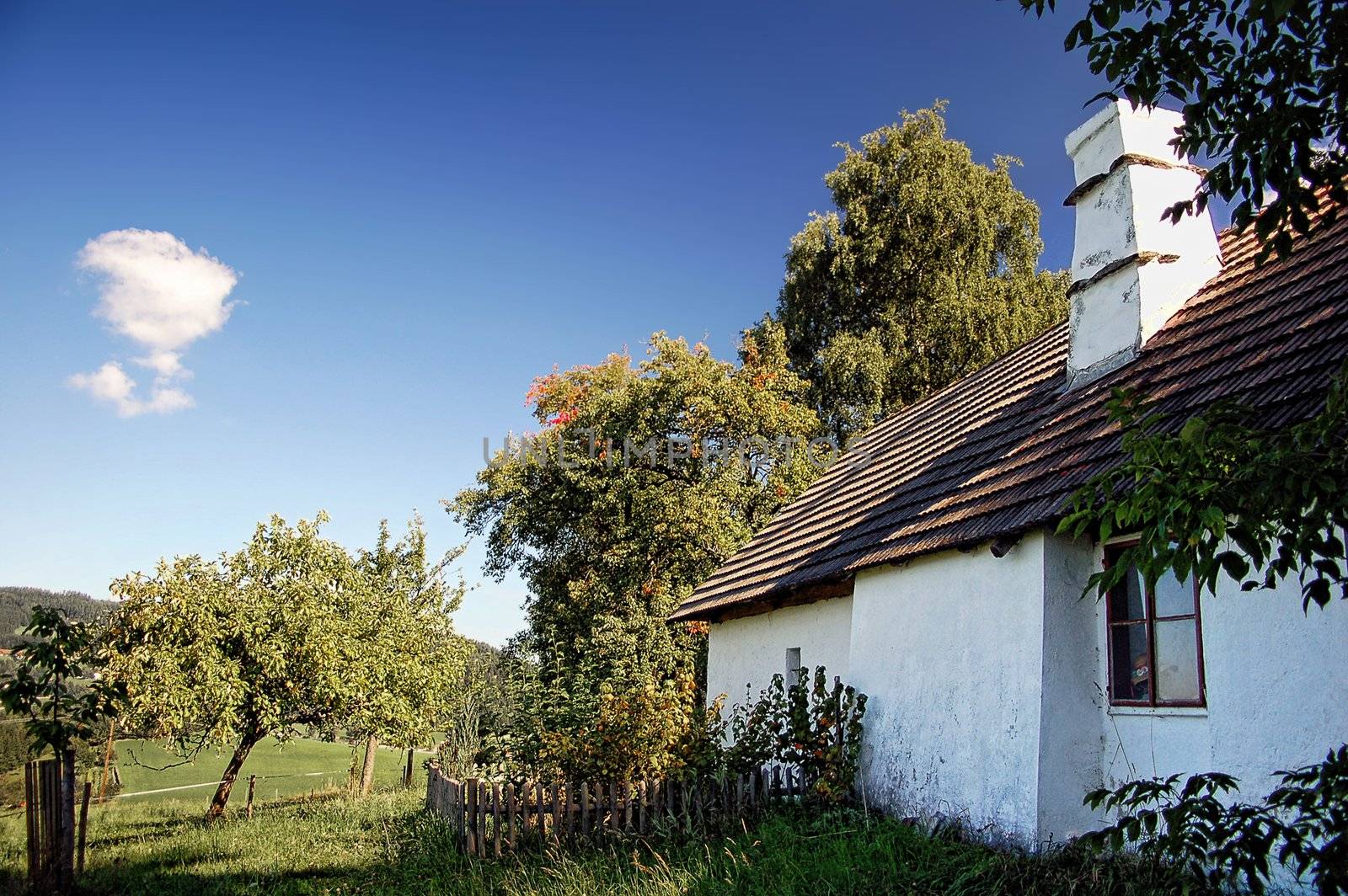 Austrian Cottage in Summer Landscape