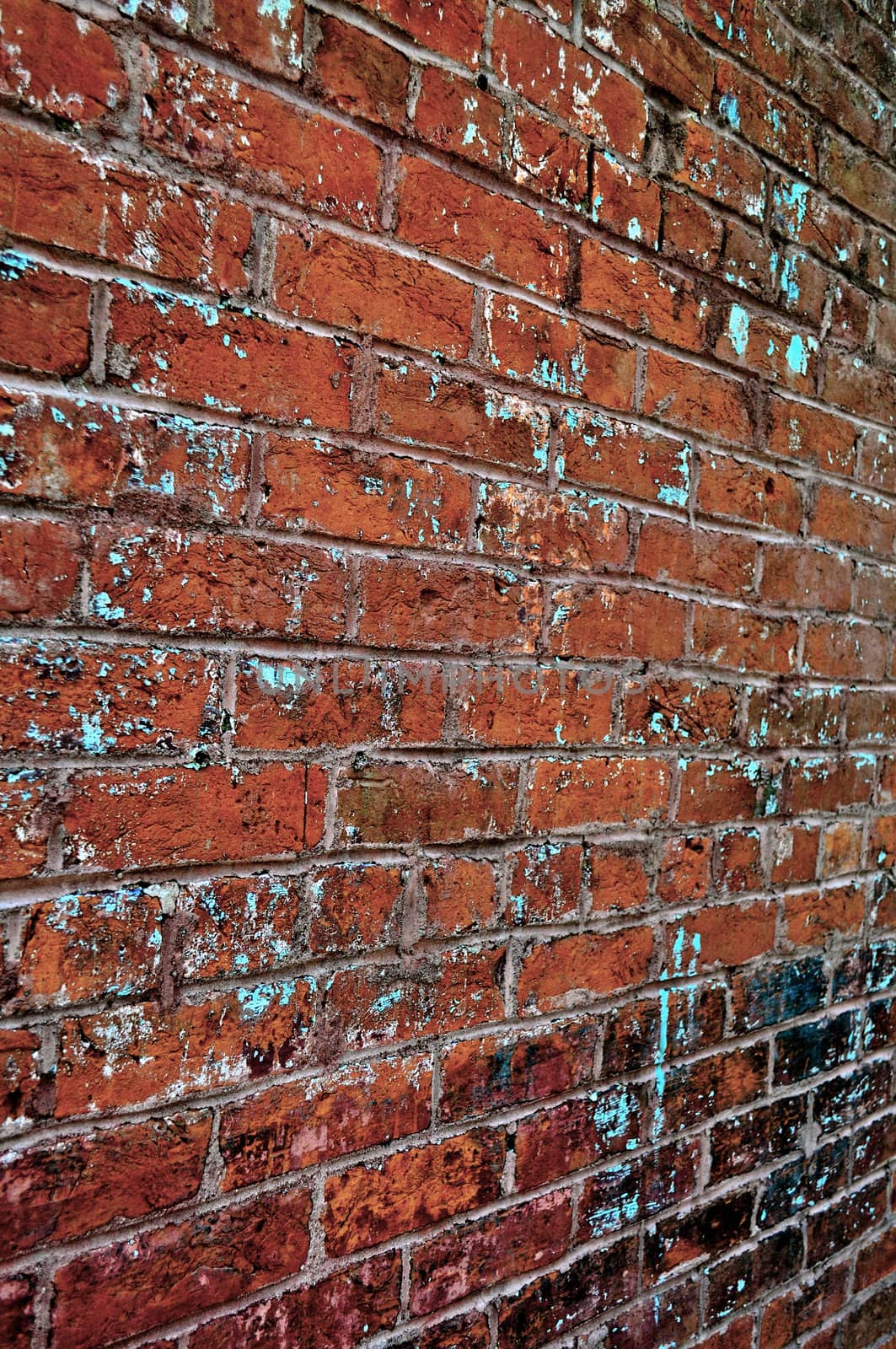 brick wall by RefocusPhoto