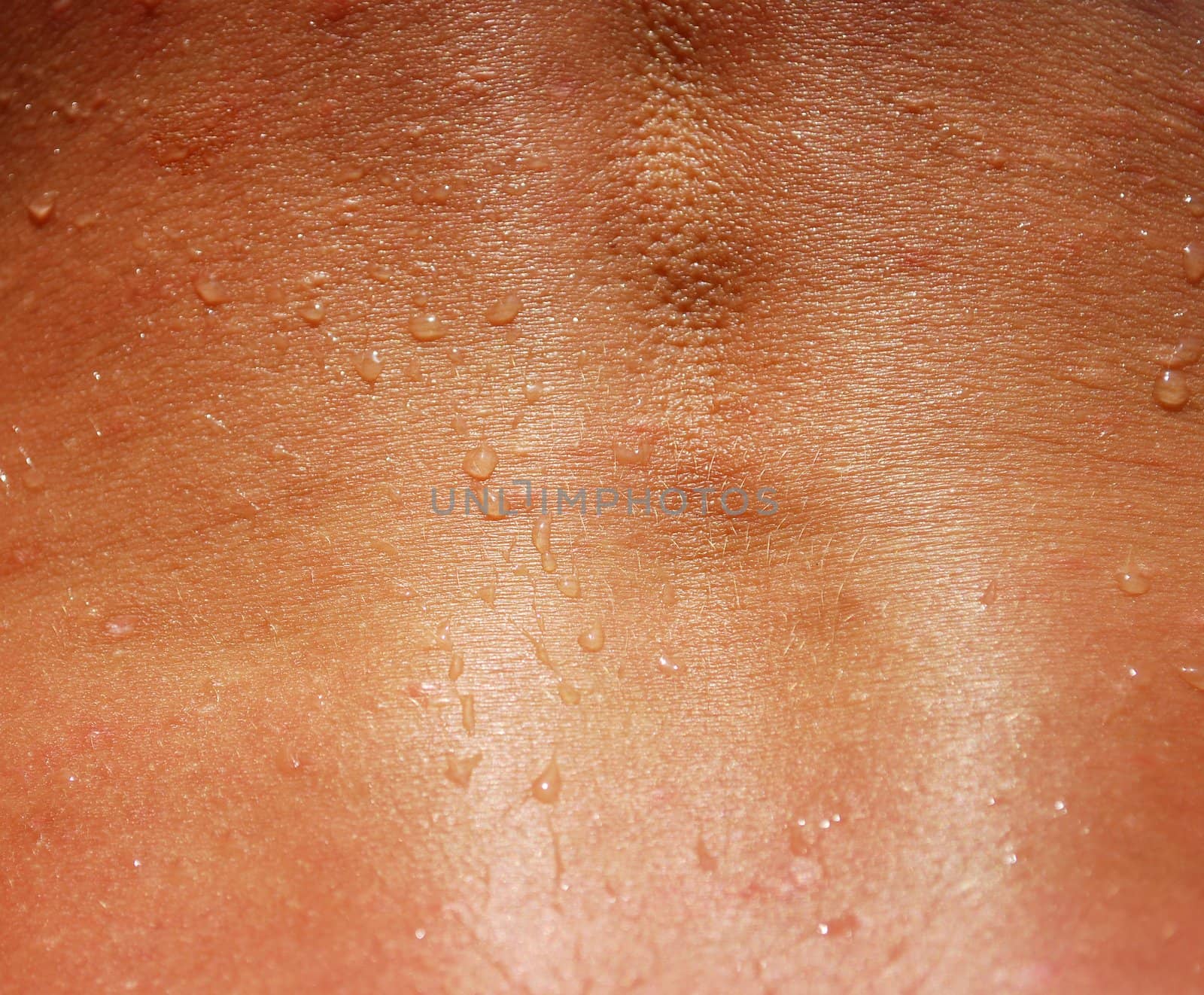 Woman Back Spine Skin Texture Closeup for Background