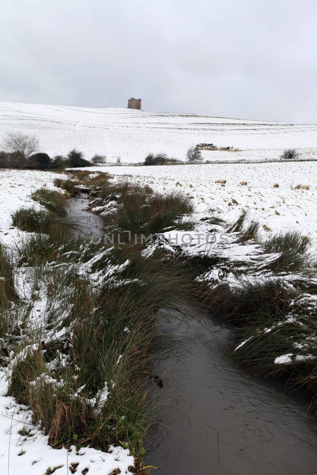 Abbotsbury village covered in snow in rural dorset england