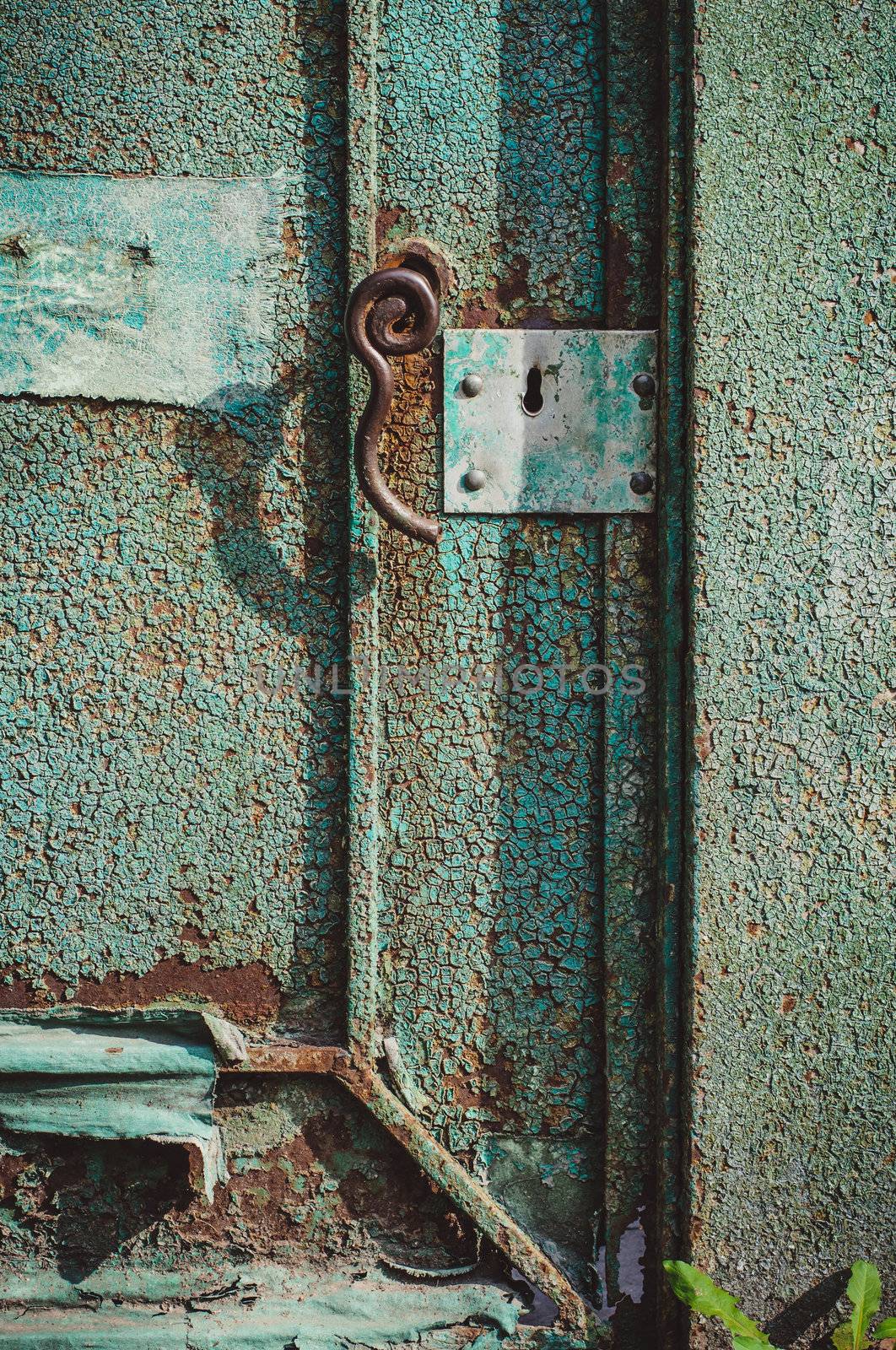 Old green door by nvelichko