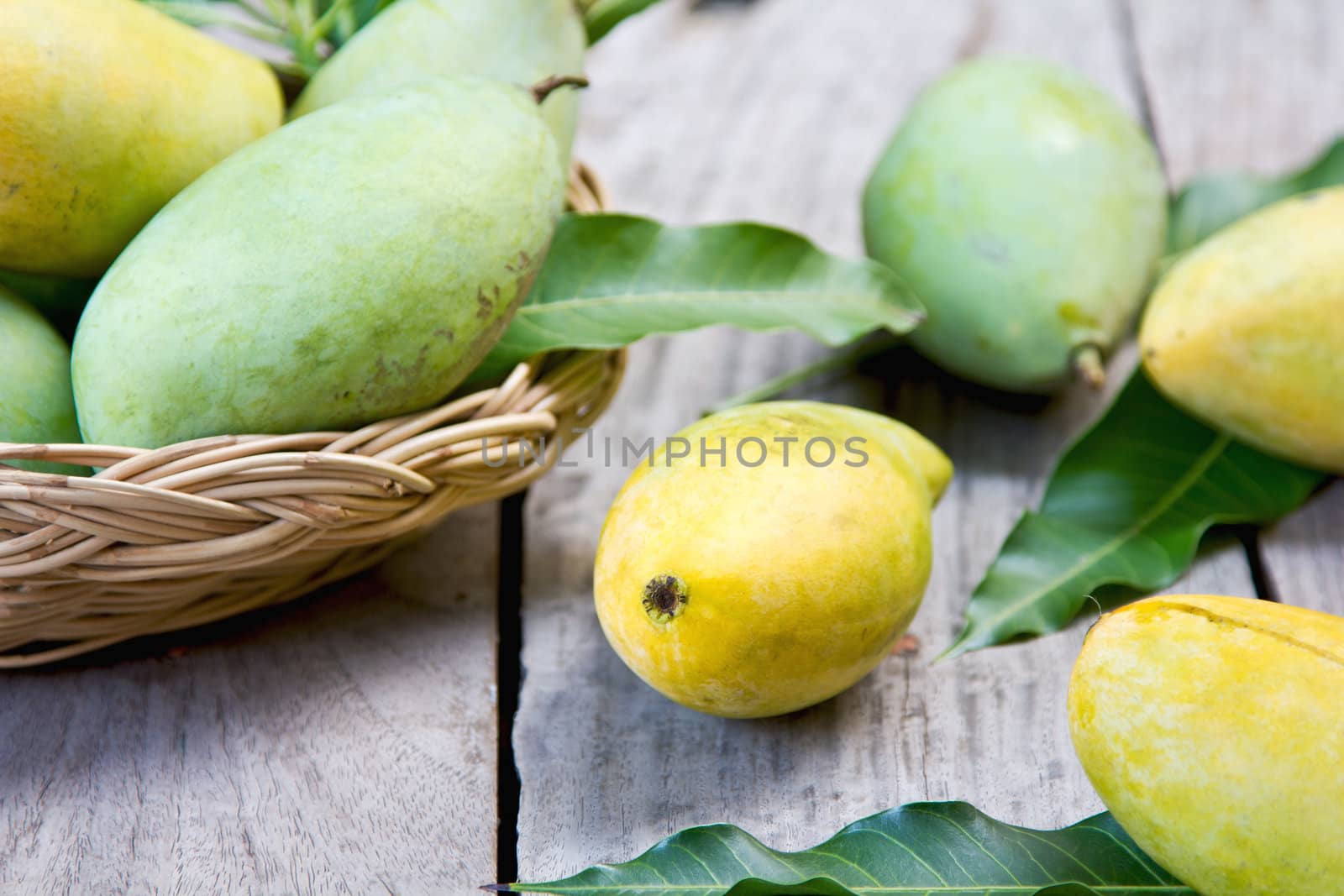 Thai ripe and raw Mangoes in bamboo basket