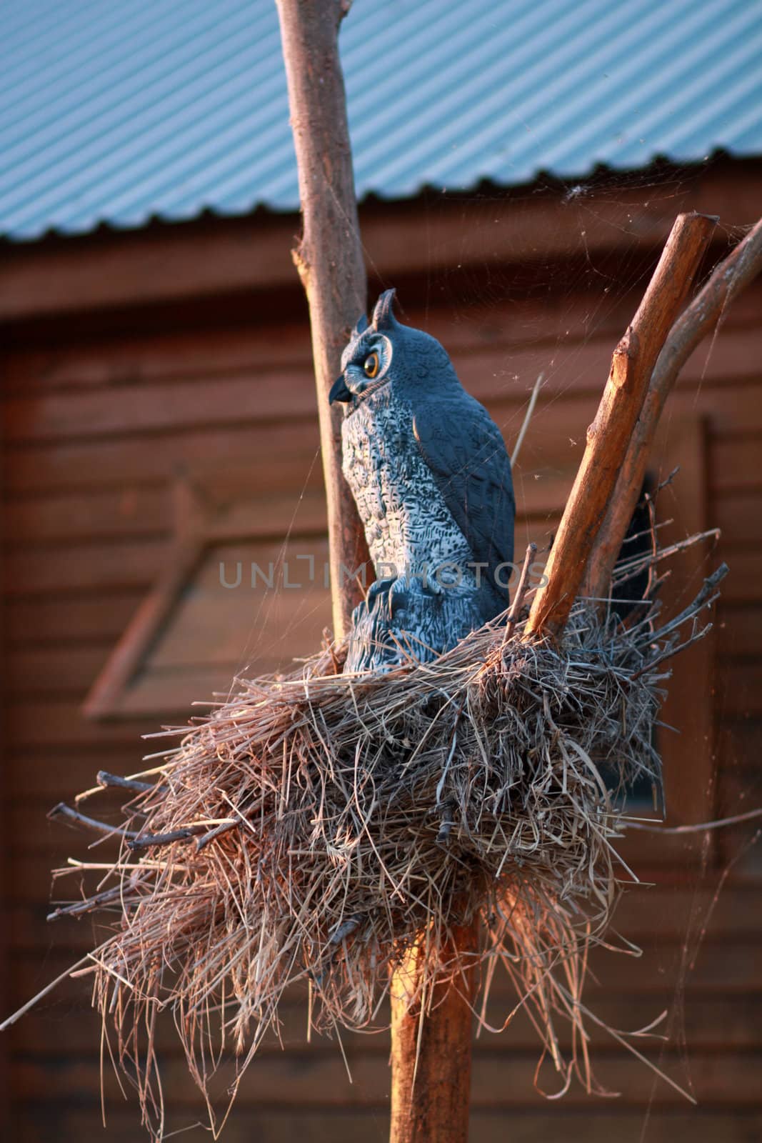 Decorative nest with an owl and cobwebs in summer evening