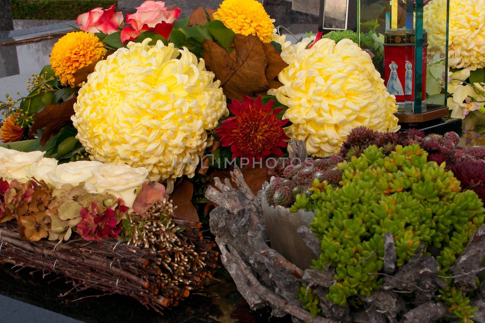 Chrysanthemum on a Graveyard with All Saints Day
