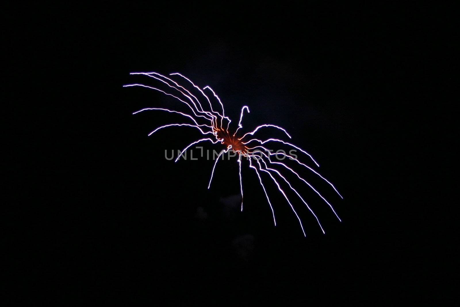 Firework explosion in a dark night