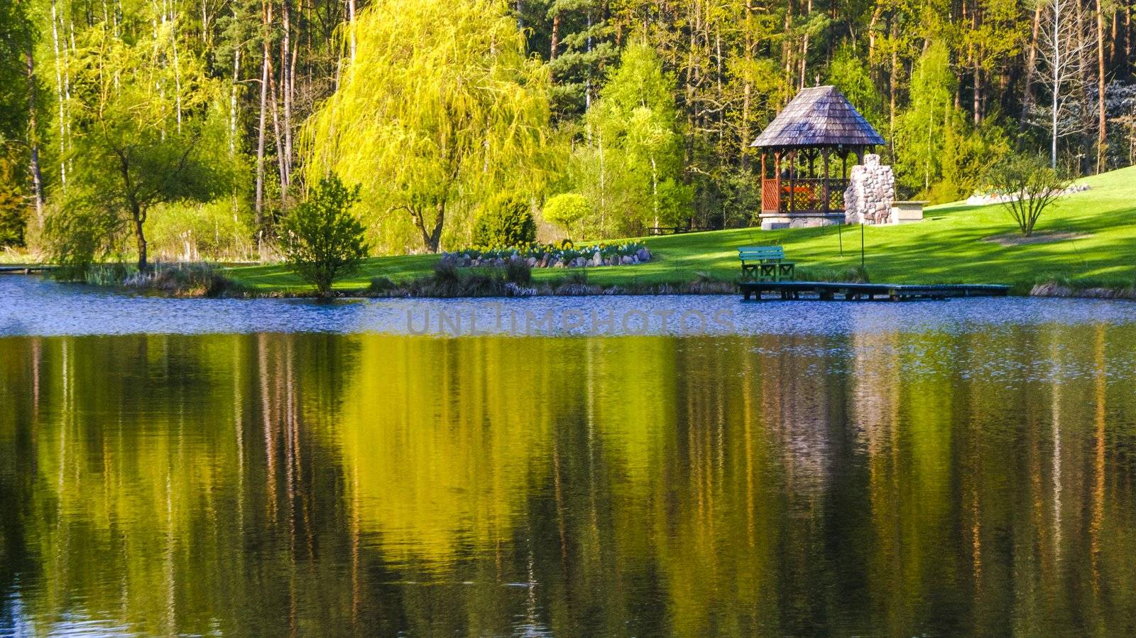 An image of House in the middle of forest