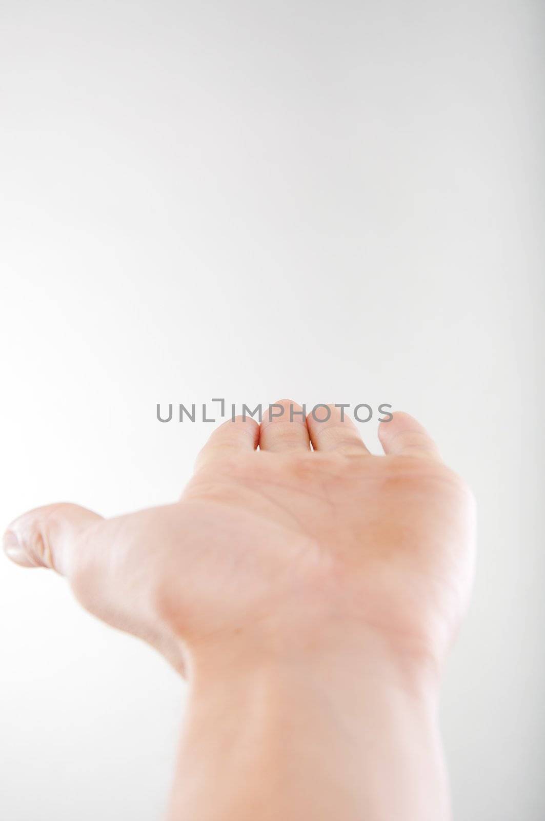 An image of open hand on white background