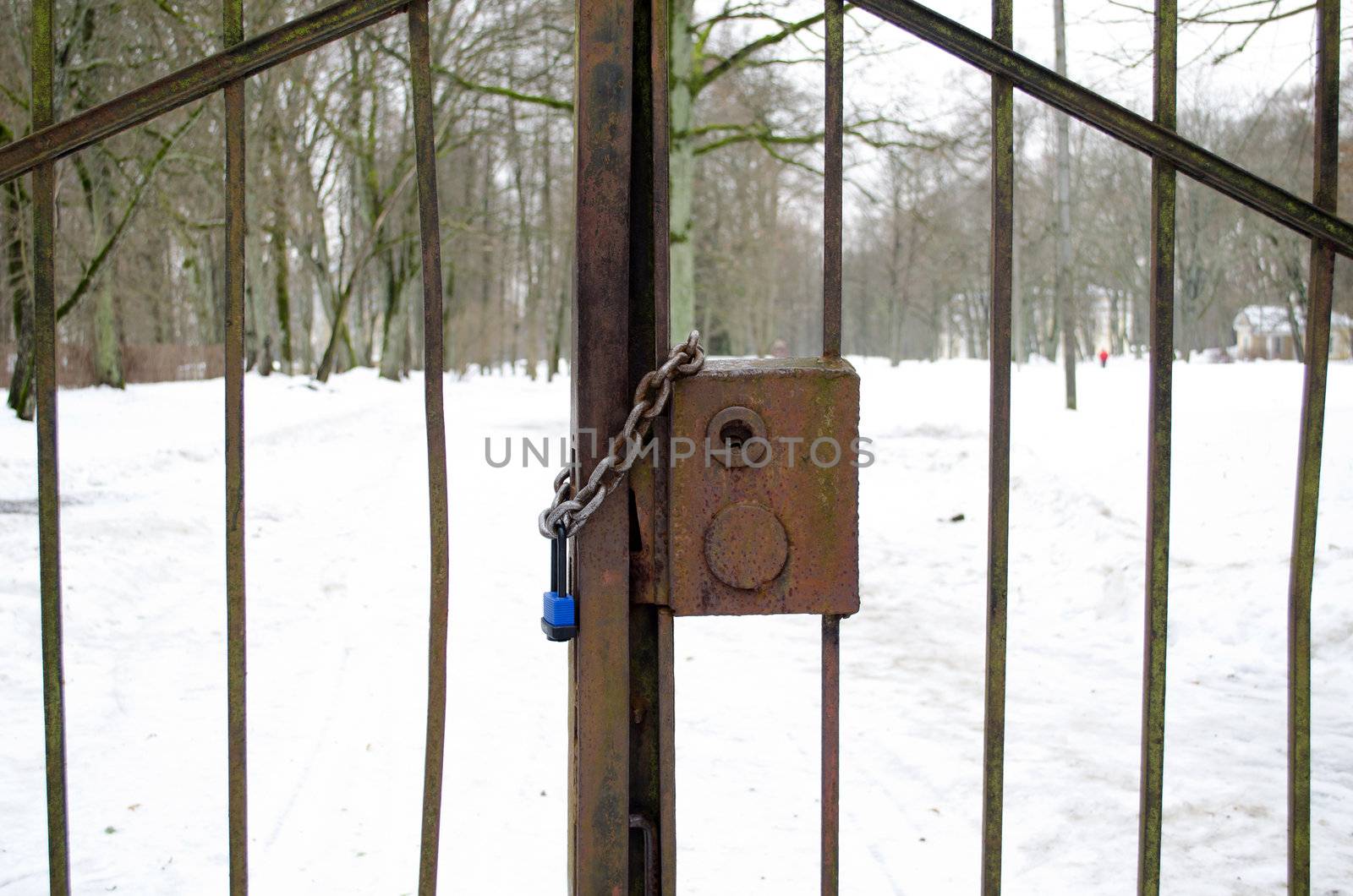 closeup of chain and lock closed retro rusty steel park gates in winter.