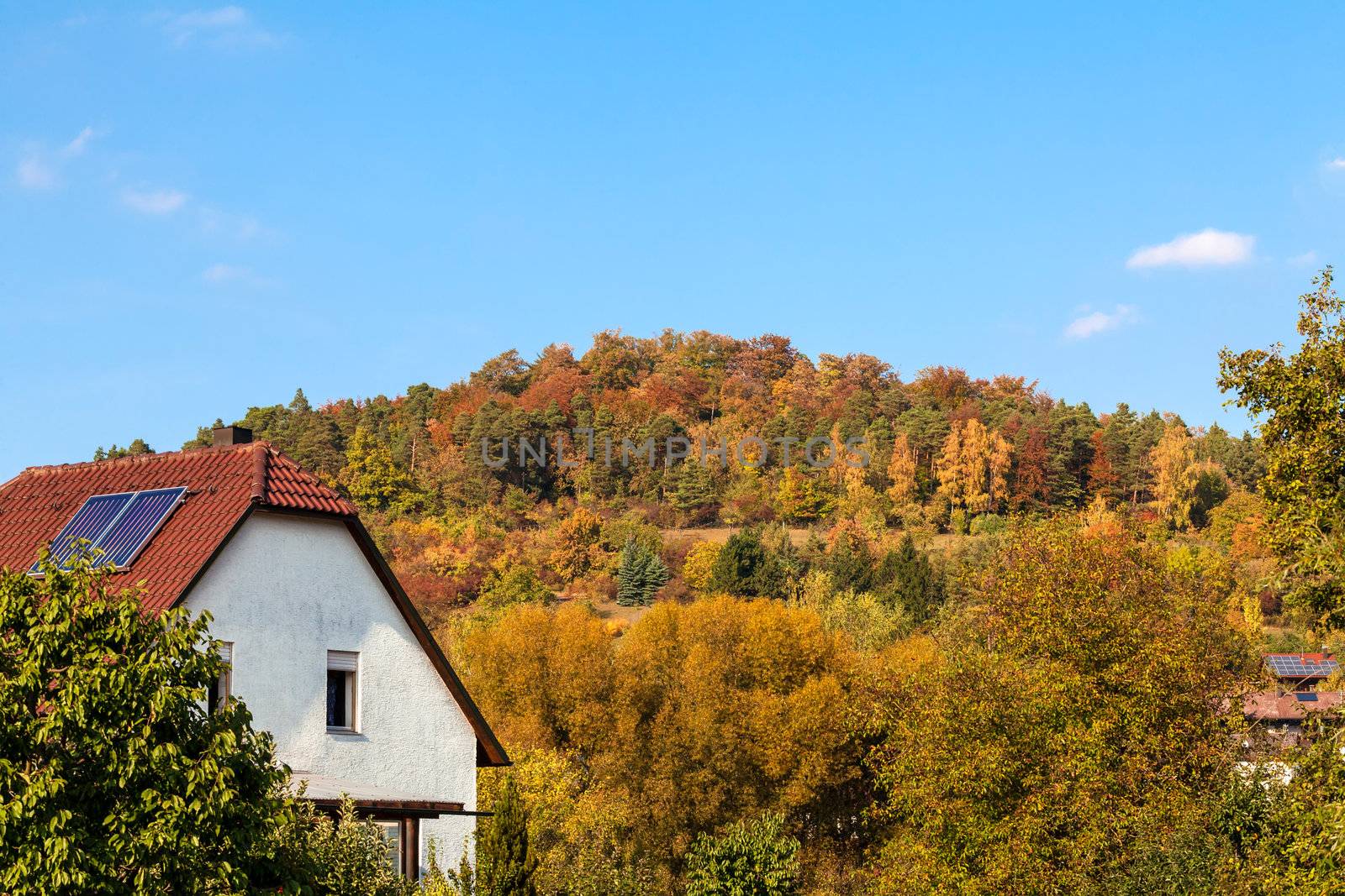 This image shows solar panel in fall