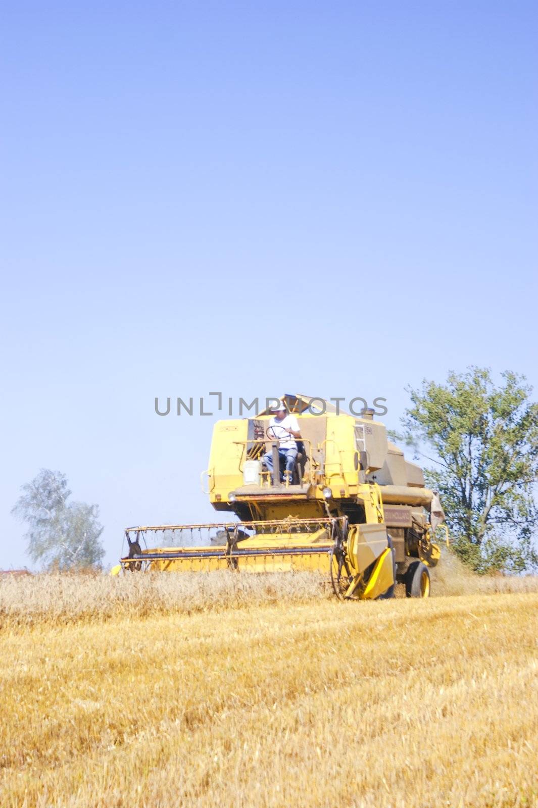 An image of combine harvesting corn