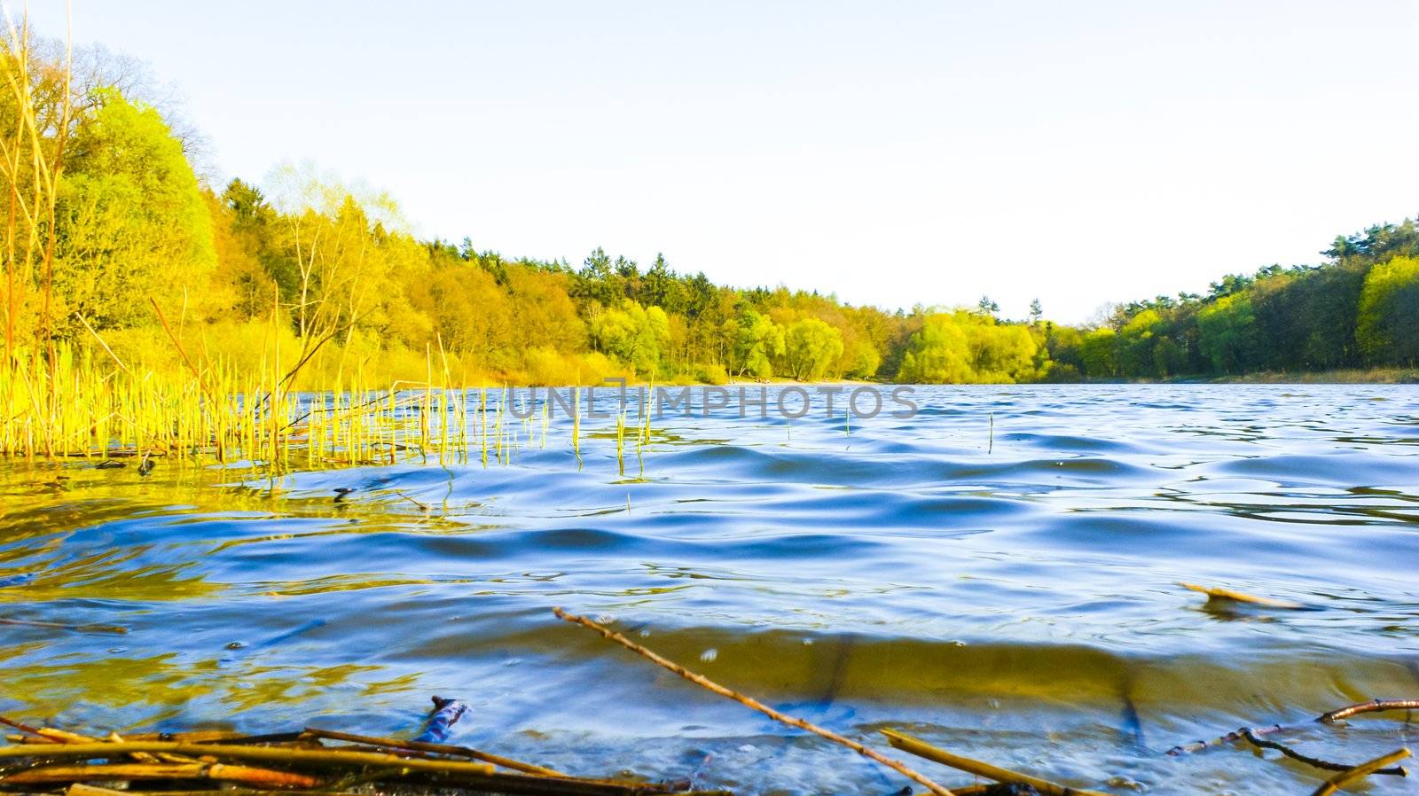 An image of lake bank in the summer