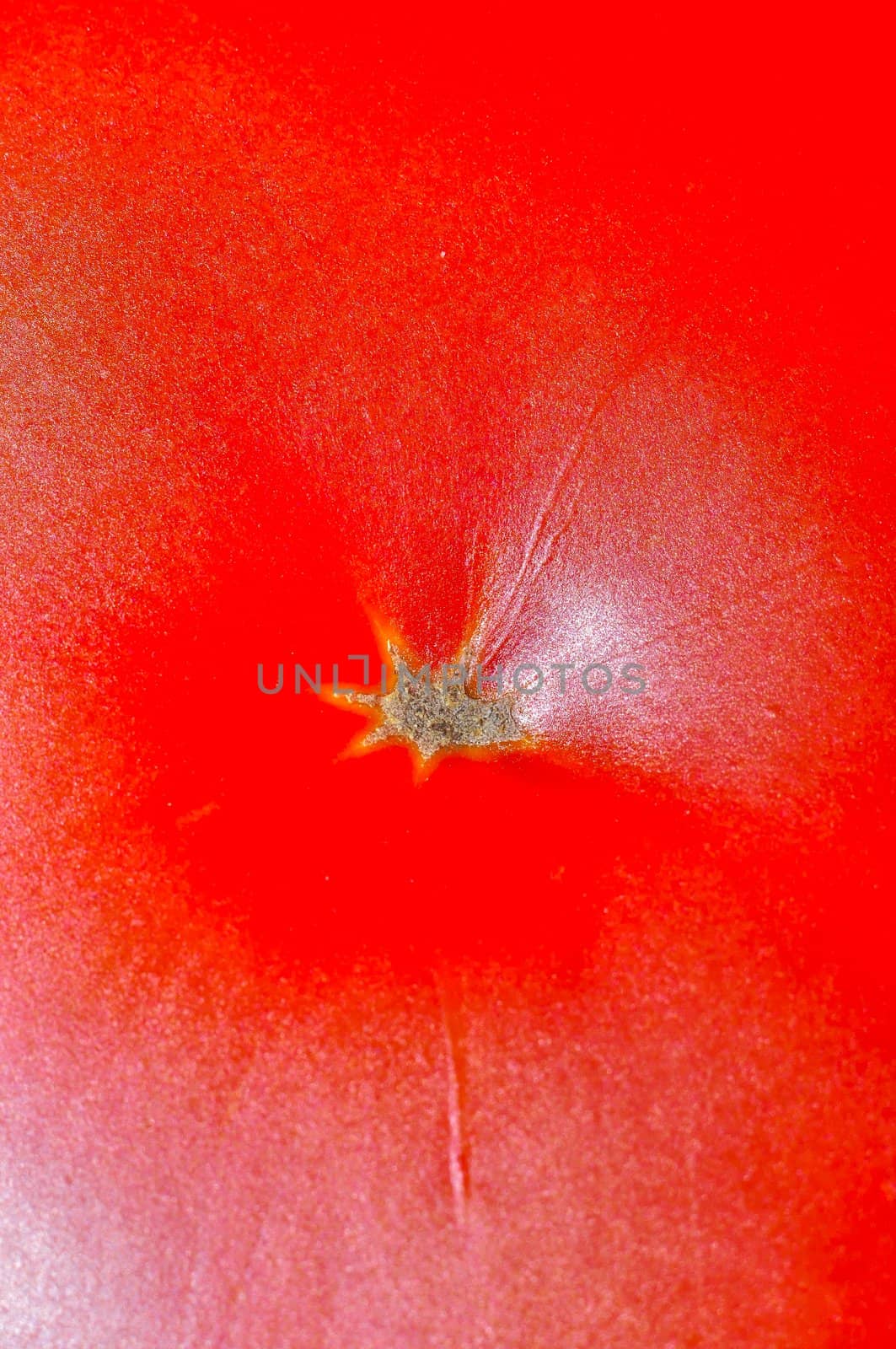 An image of macro tomato
