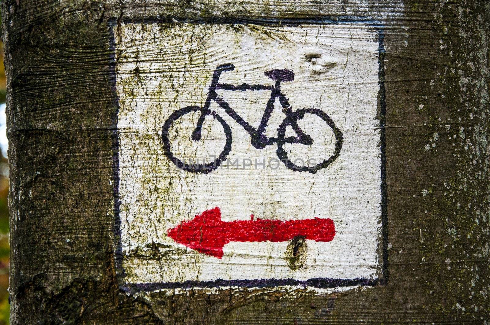 An image of sign in the forest