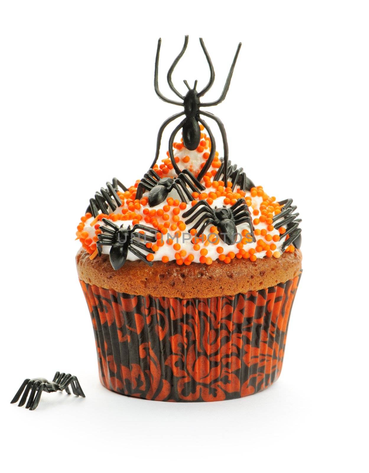 Halloween cupcake by haveseen