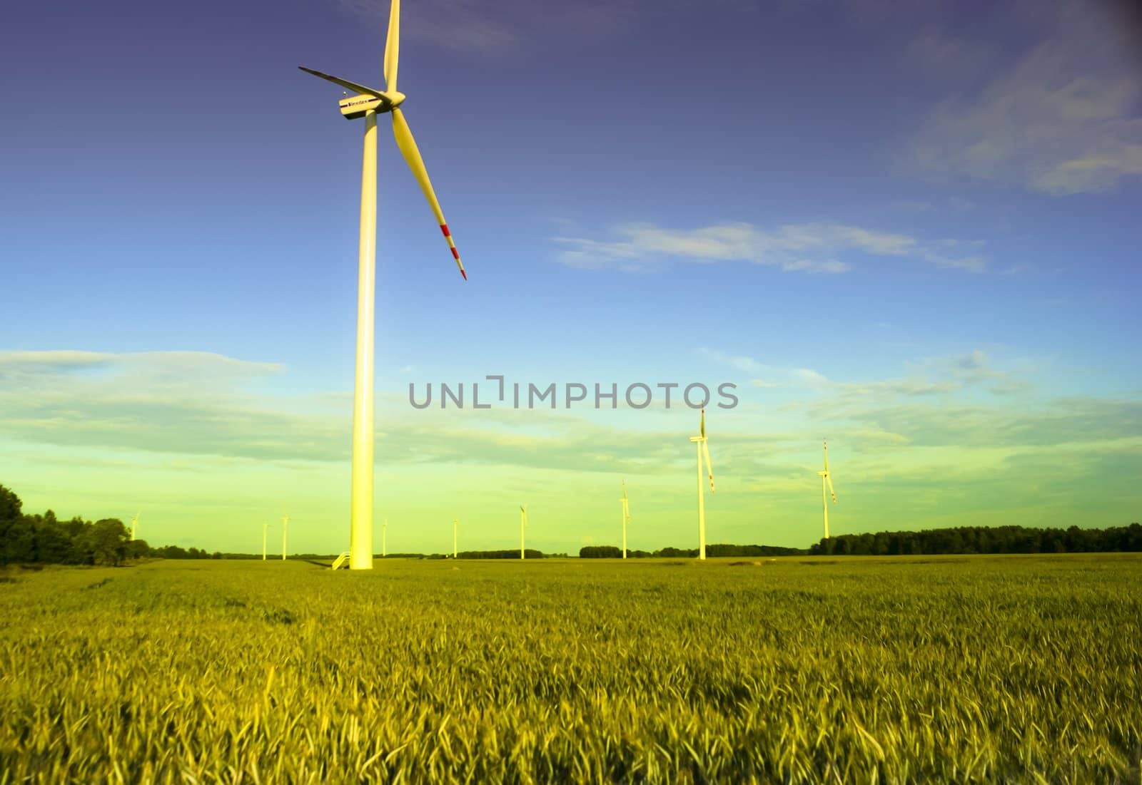 An image of wind farm