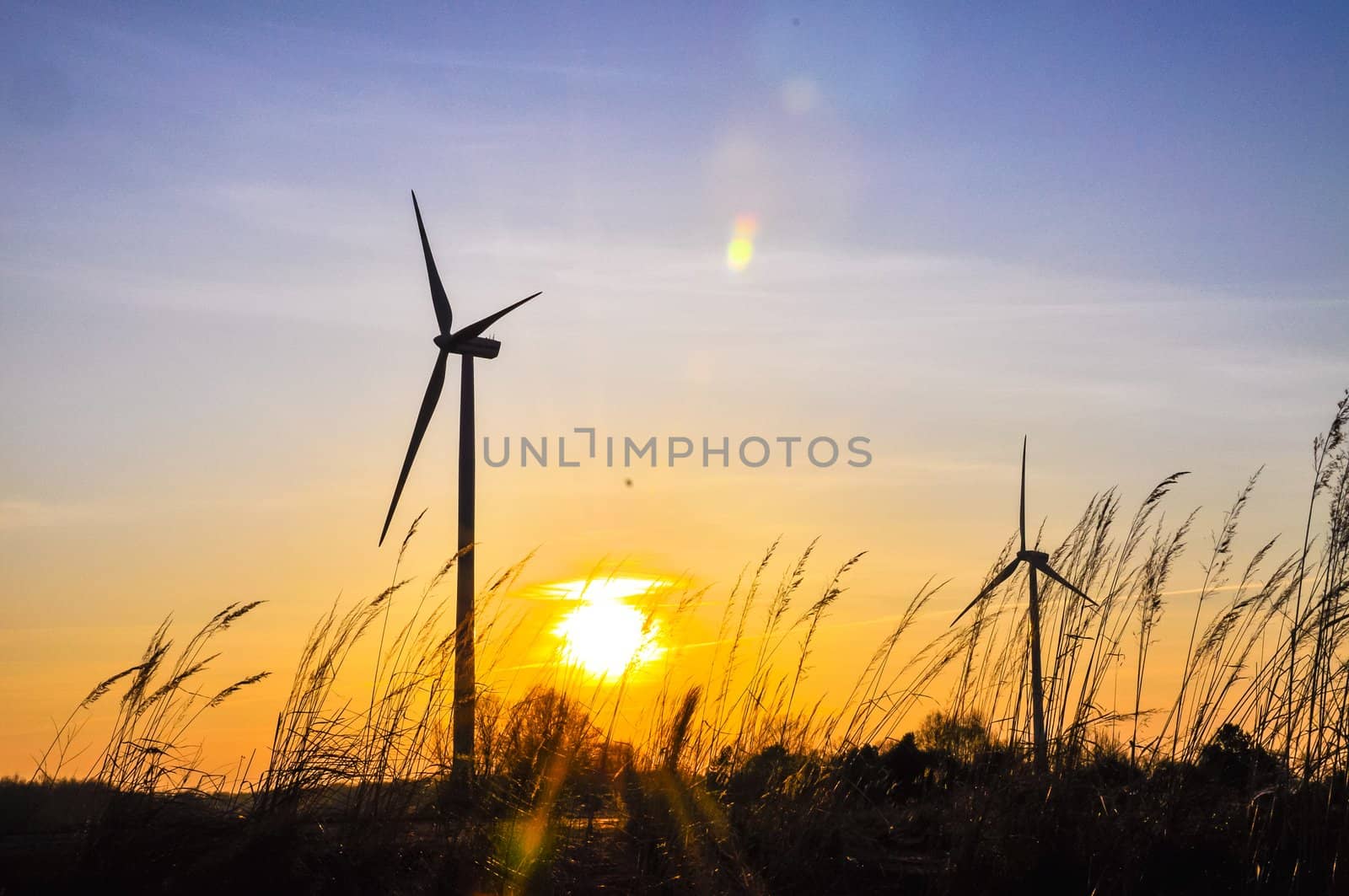 An image of wind farm