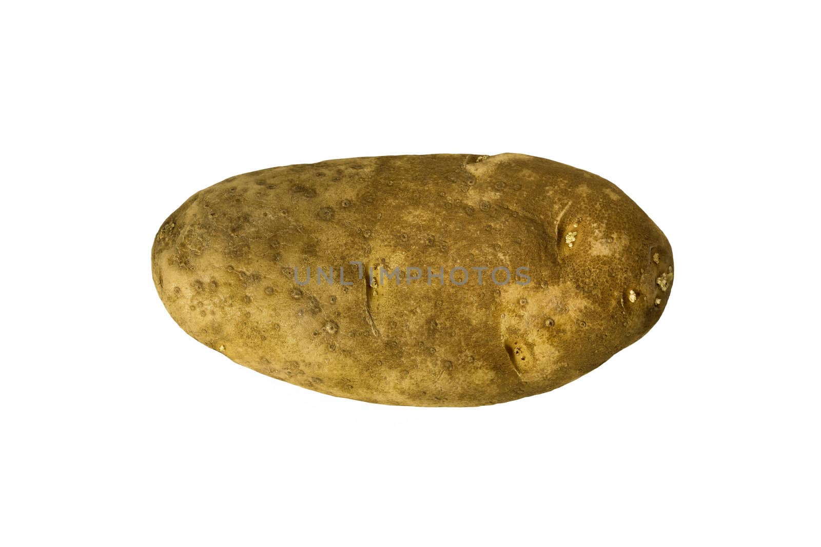 Isolated potato on white
