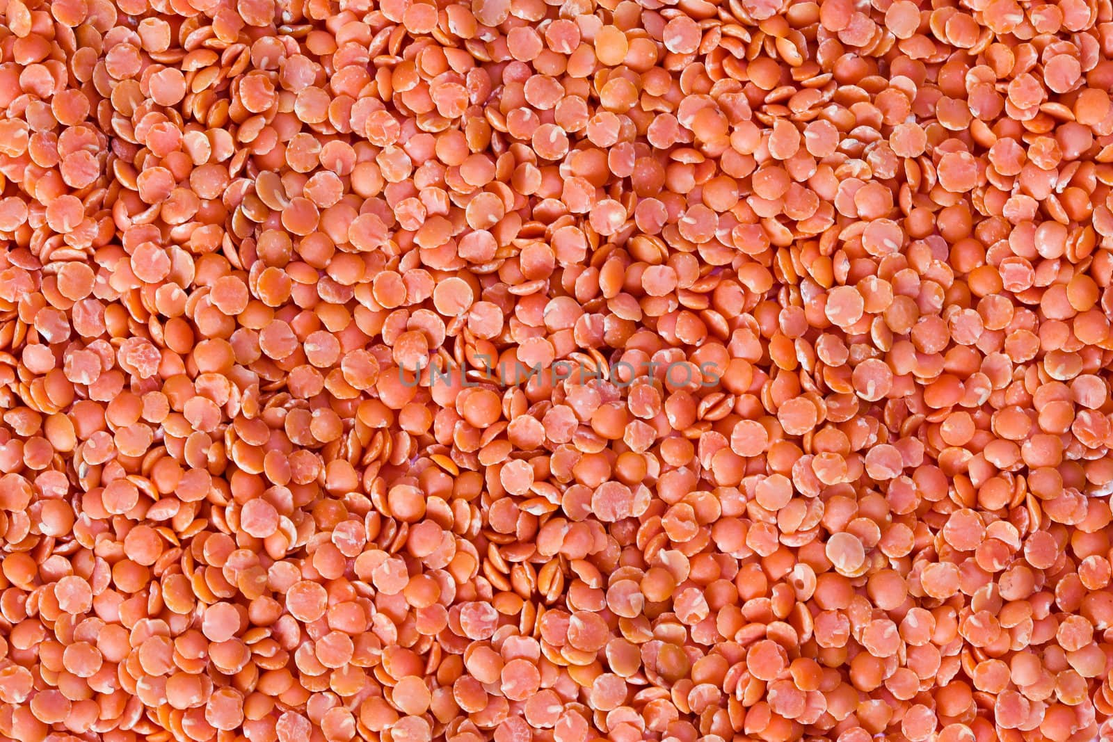 Red organic lentils  textured background