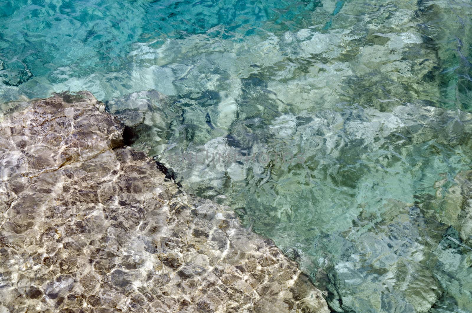 Rock under clear water at shore of Georgian Bay of Lake Huron Ontario