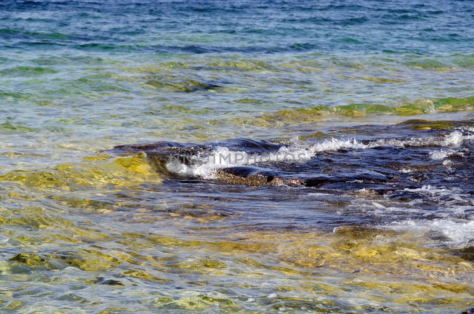 Rock under clear water at shore of Georgian Bay of Lake Huron Ontario