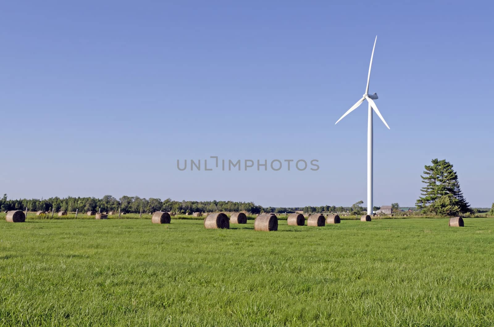 Wind turbine and hay bails in a field on green grass background