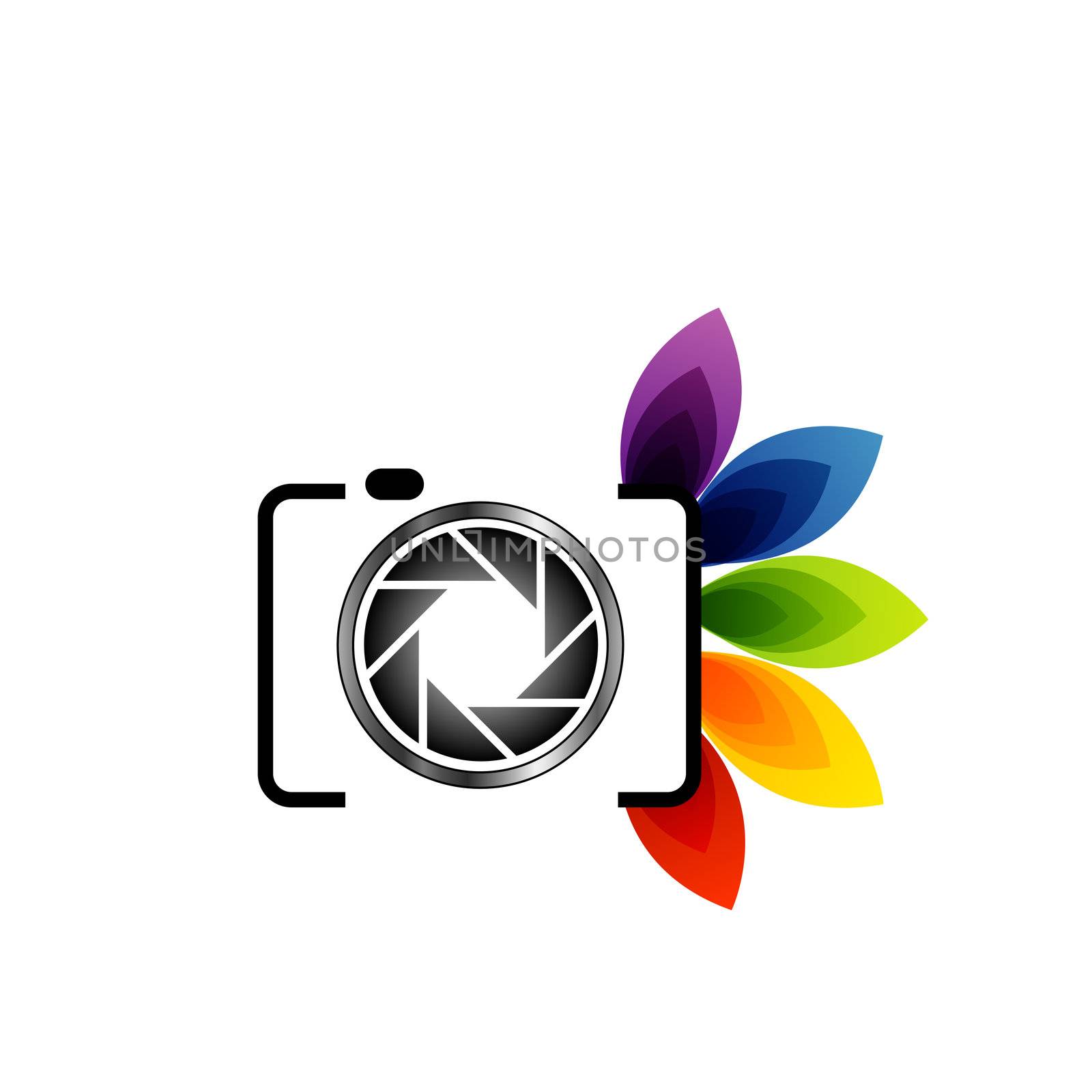 Photography logo with colorful leaves