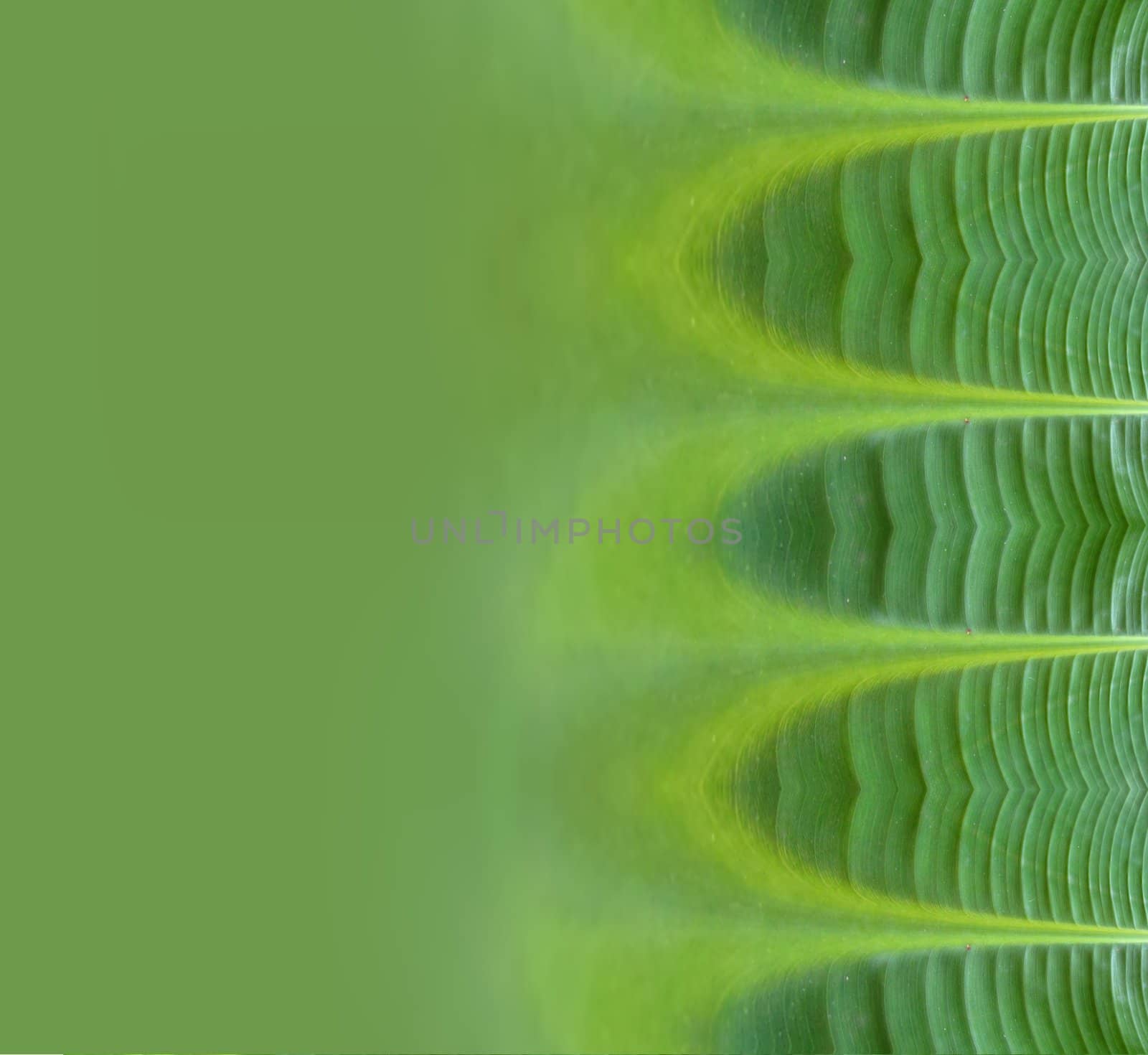 design of abstract background made using banana leaves