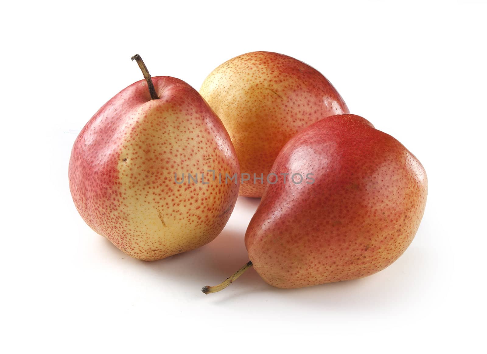 Pears by Angorius