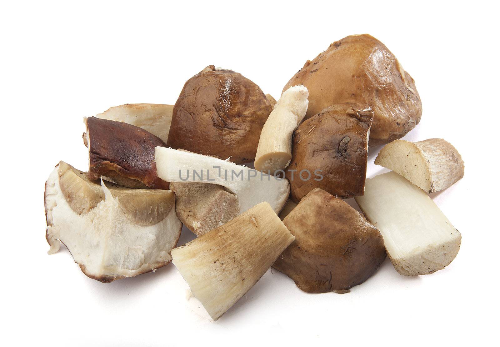 White mushrooms by Angorius