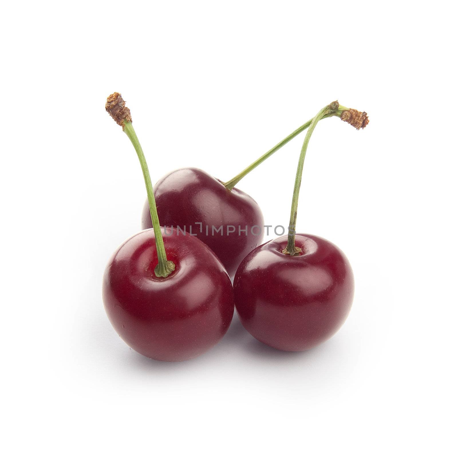 Cherry by Angorius