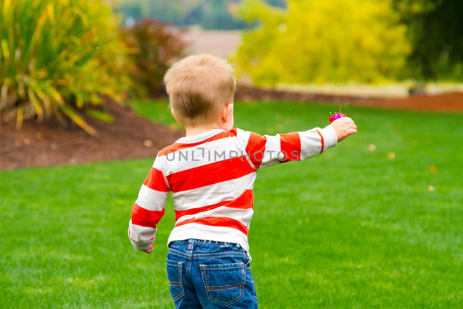 A portrait of a young boy playing outdoors wearing a red and white striped shirt.