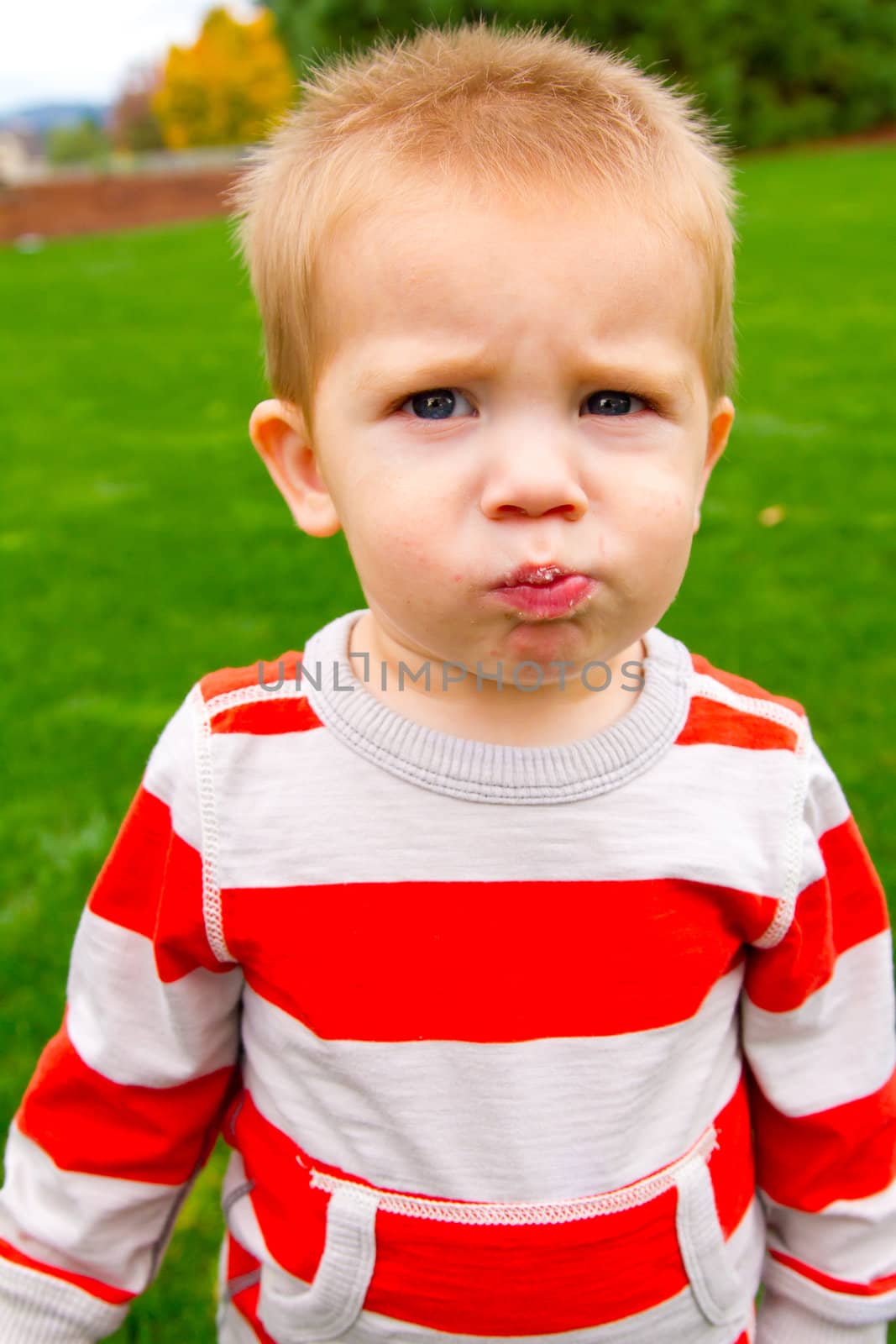 A portrait of a young boy playing outdoors wearing a red and white striped shirt.