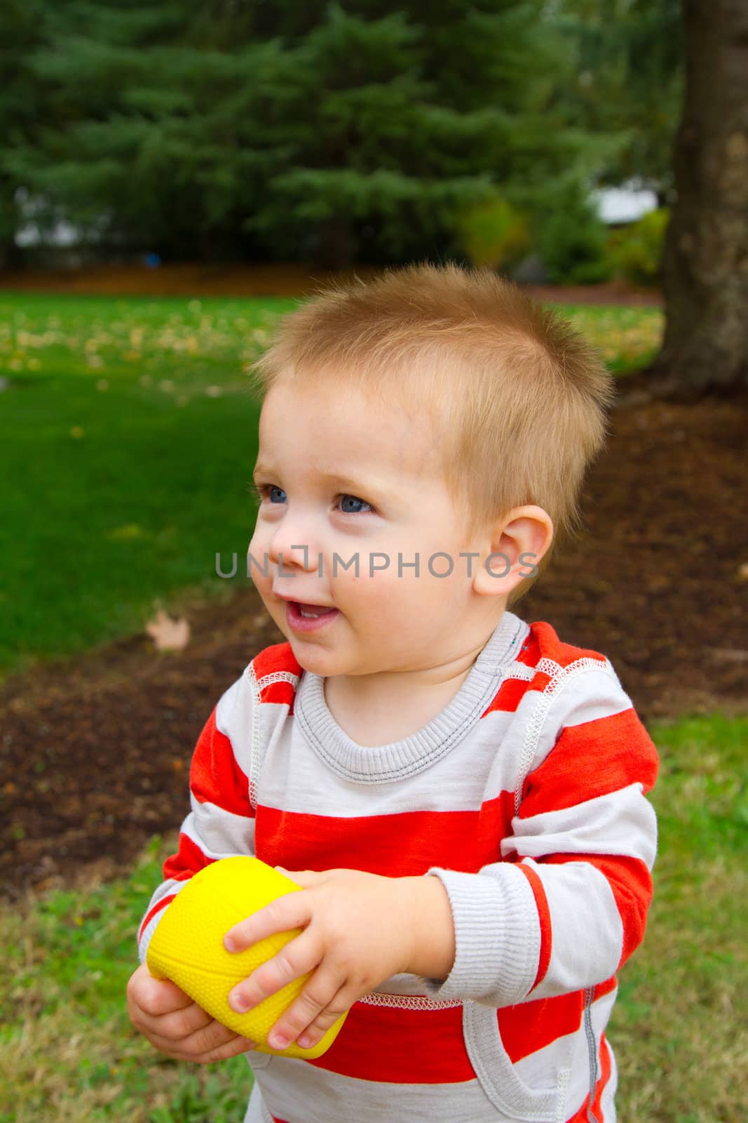 A portrait of a young boy playing outdoors wearing a red and white striped shirt.