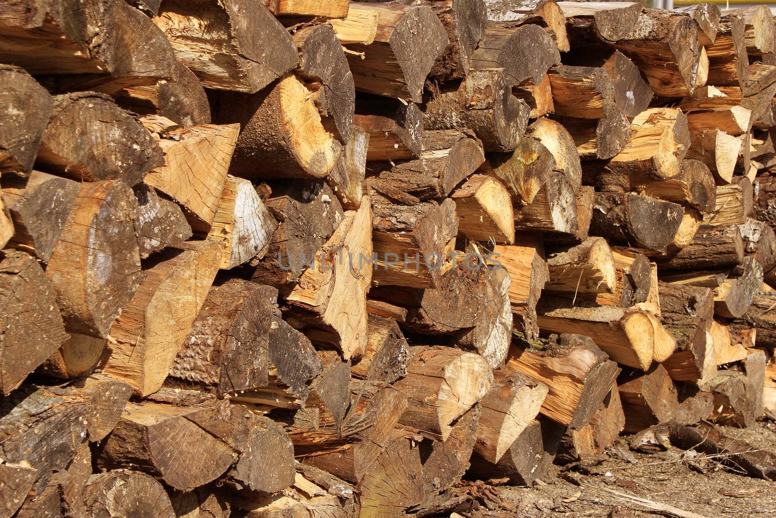 Wood logs cut in stacked for firewood