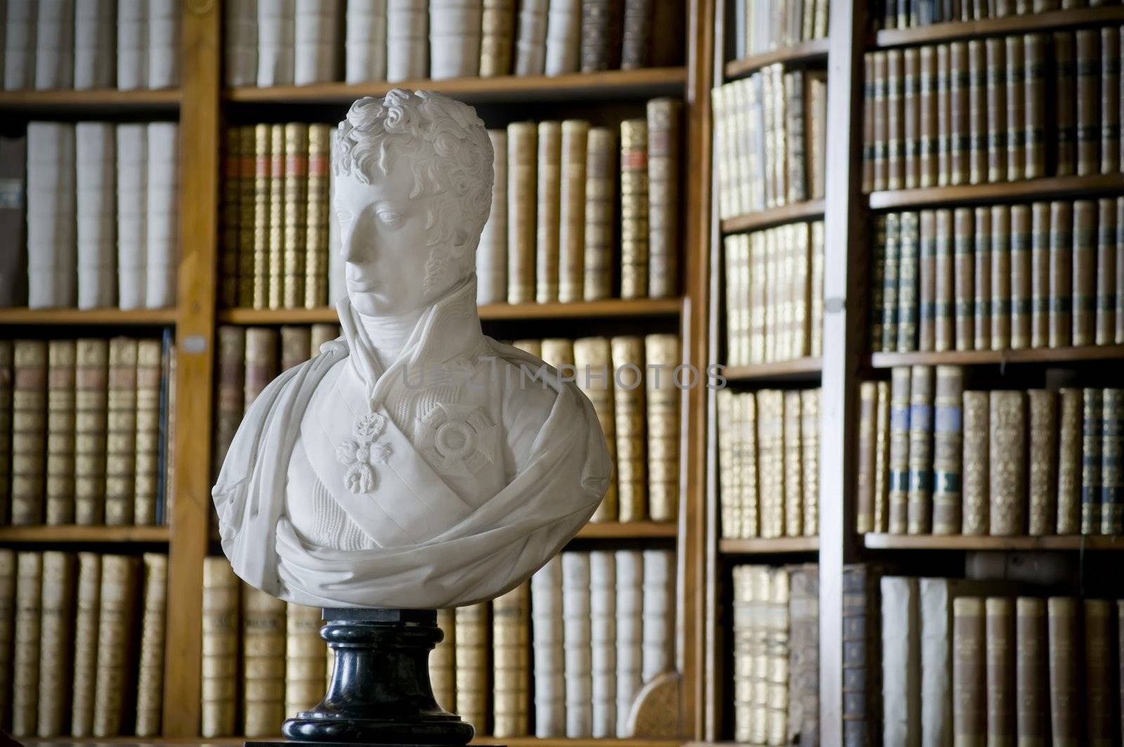 Antique Bust in front of a Bookshelf