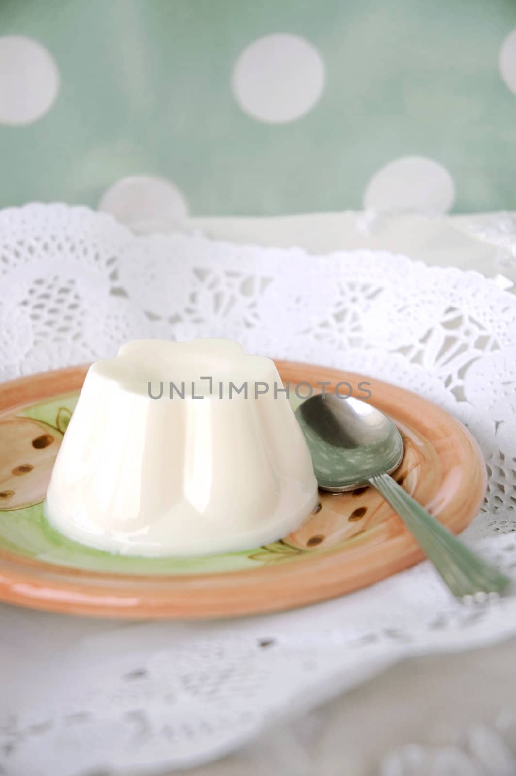 sweet milk pudding on plate with polka dots background