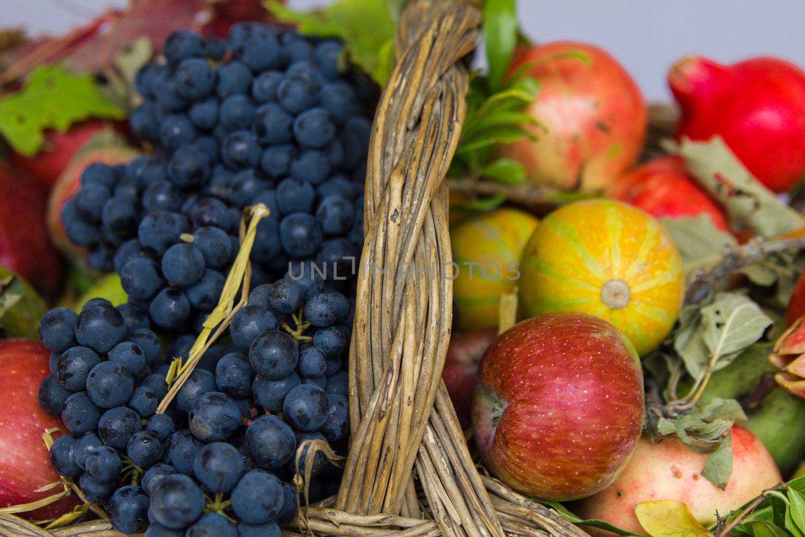 Apples, grapes, pumpkins in a wicker basket by huntz