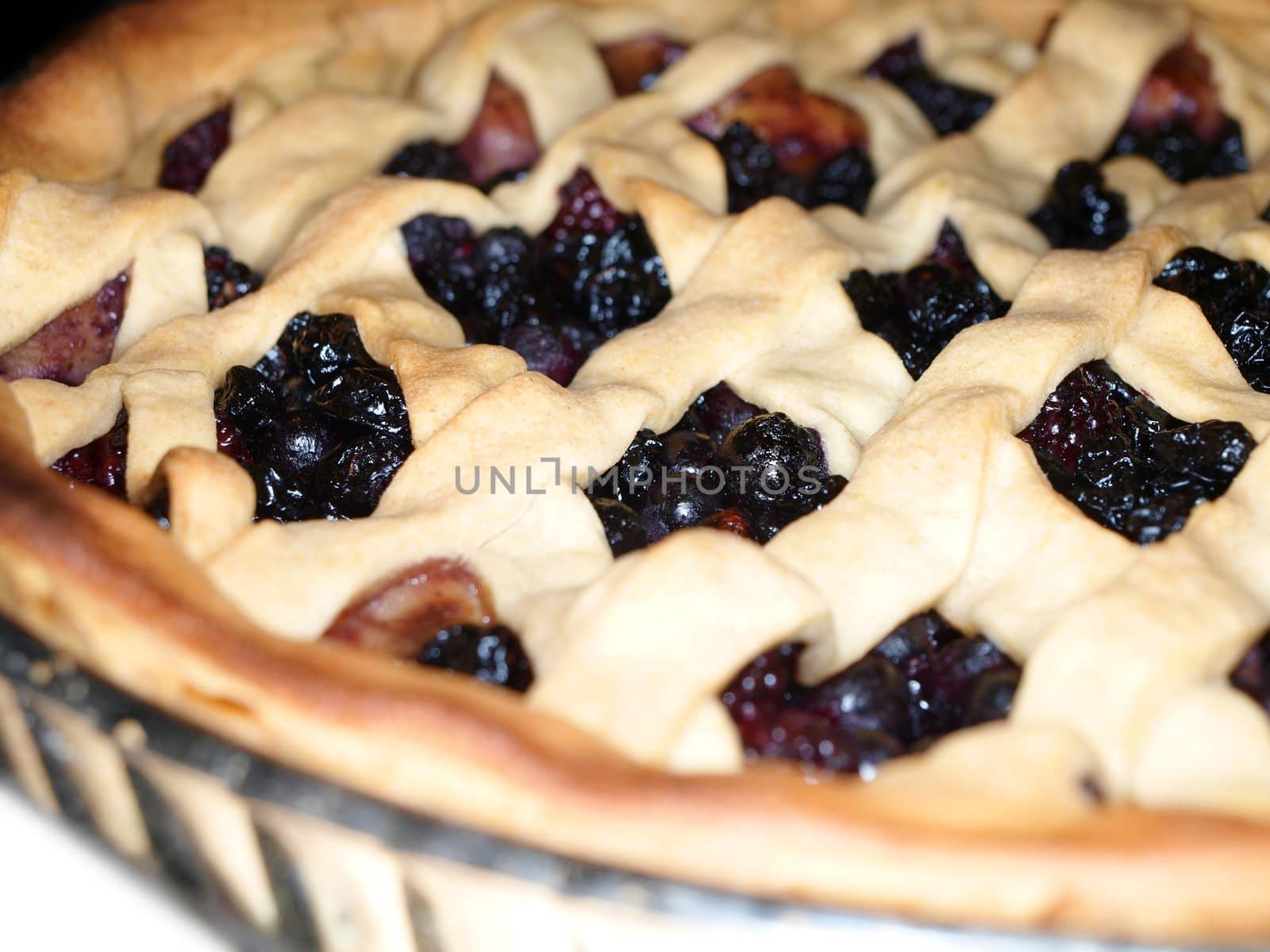 Fresh dark blue berry pie, covered with shortcrust pastry