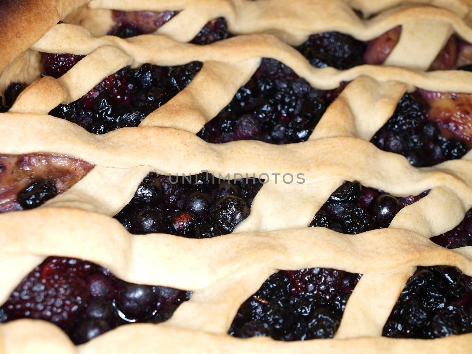 Fresh dark blue berry pie, covered with shortcrust pastry